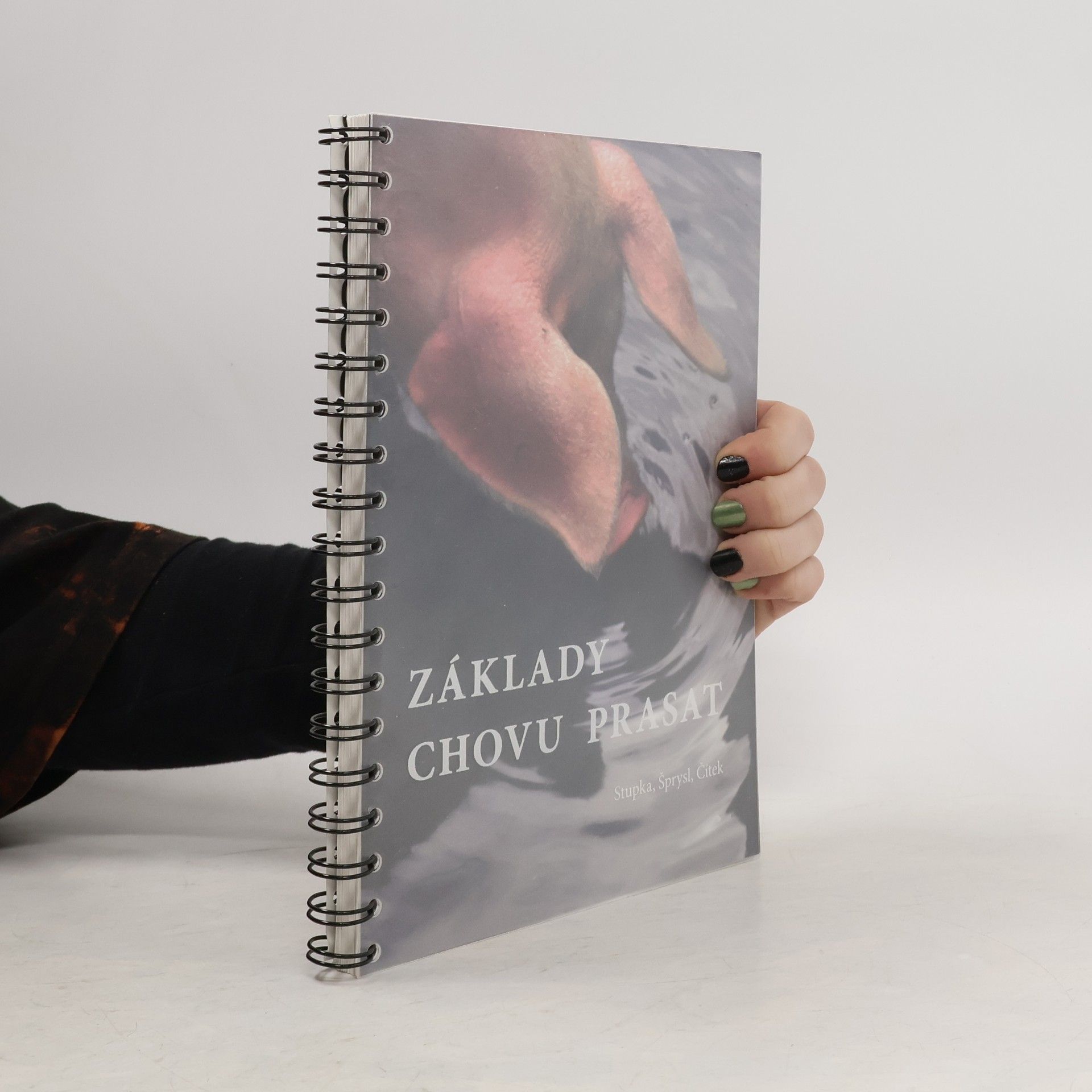 Roman Stupka Základy chovu prasat