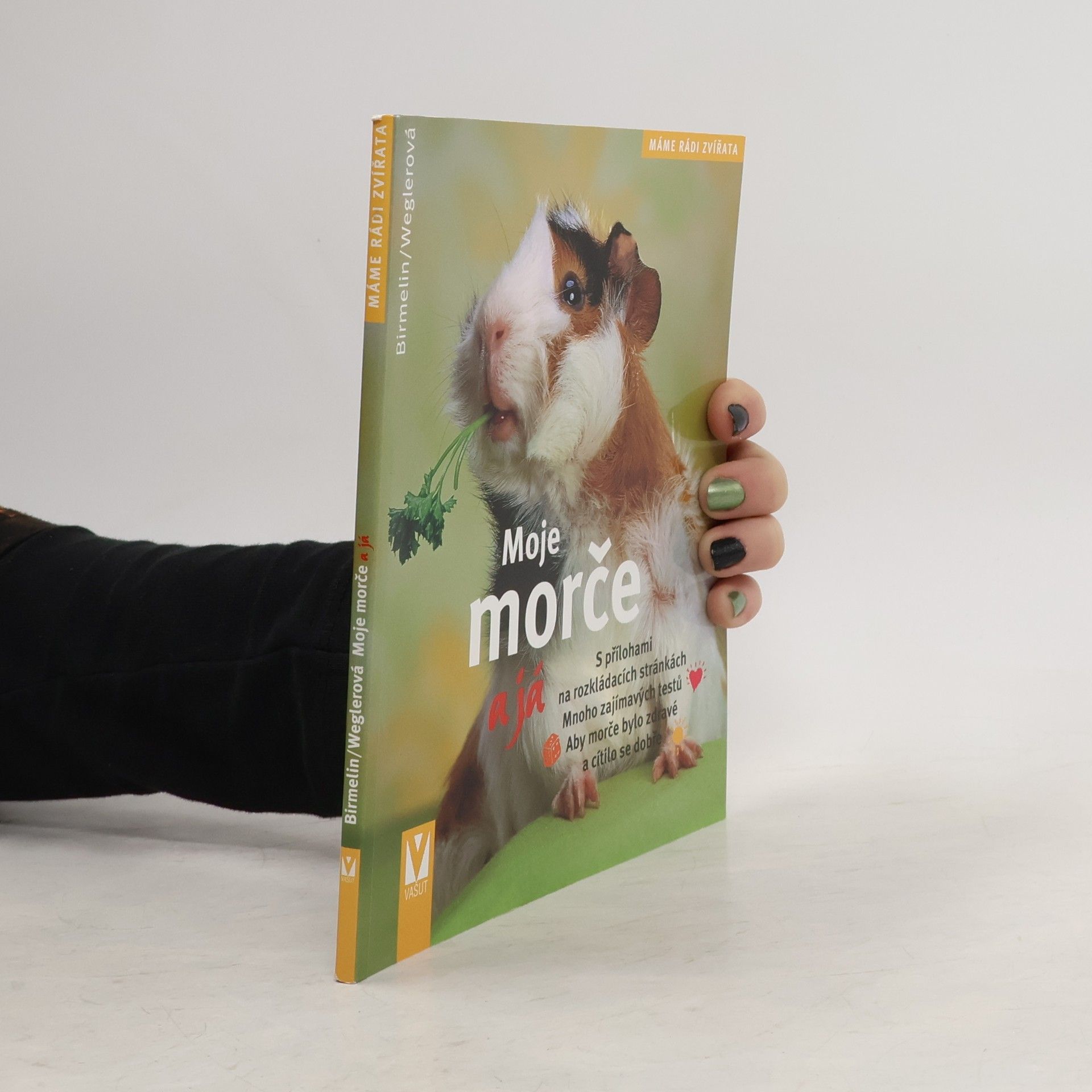 Moje morče a já