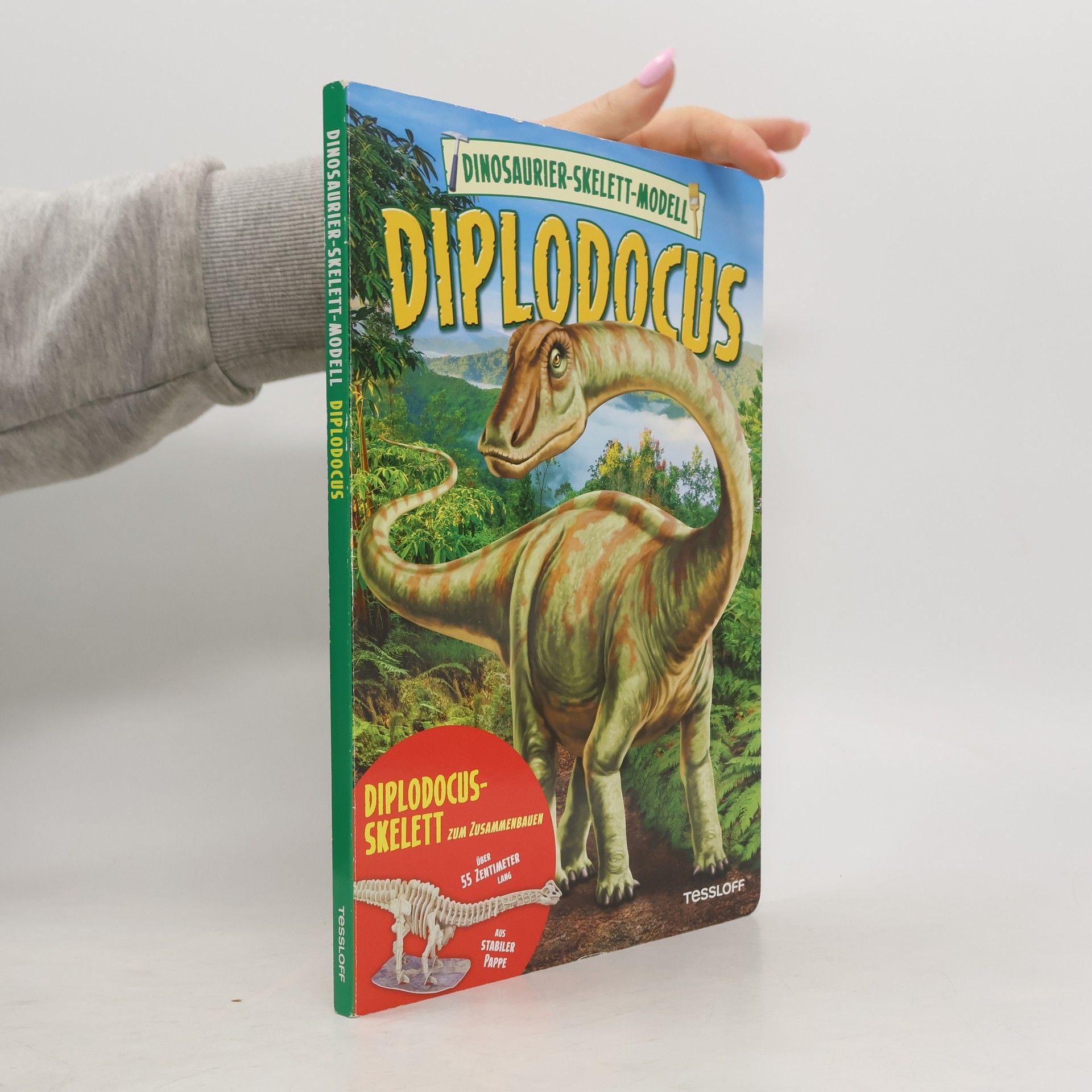 Samantha Hilton Dinosaurier-Skelett-Modell. Diplodocus