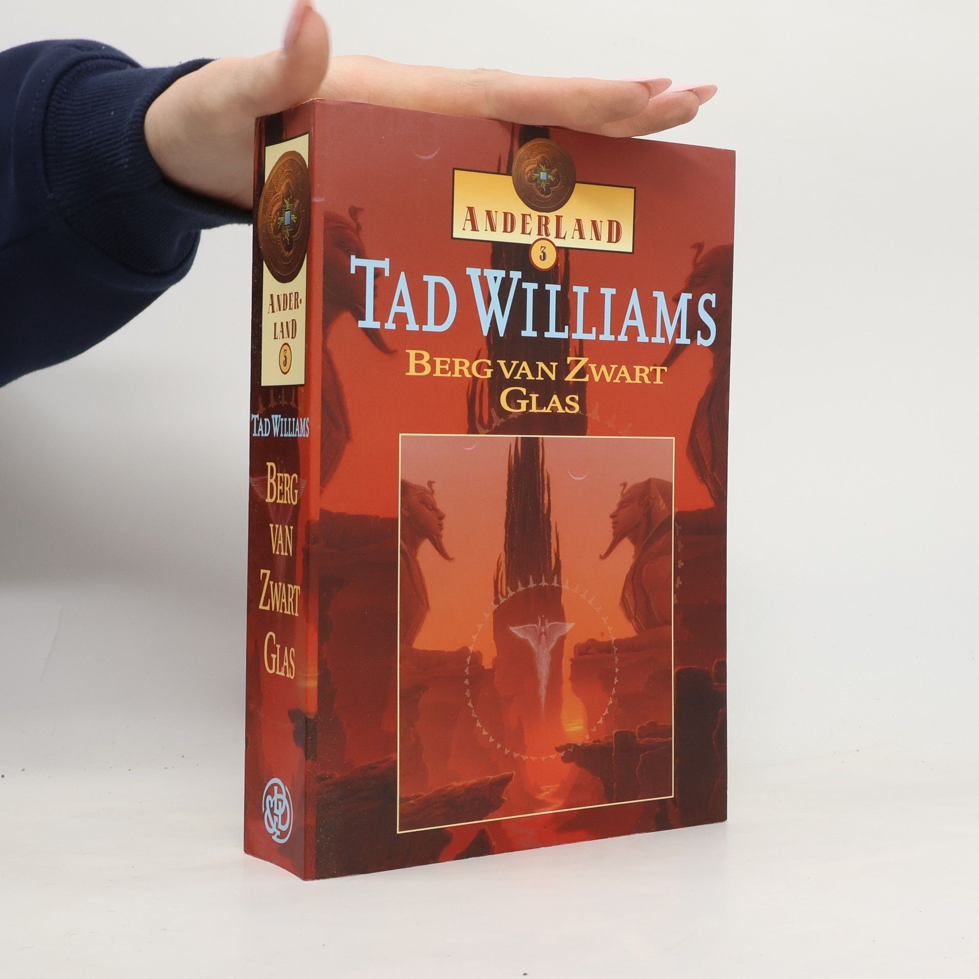 Tad Williams Anderland - 3: Berg van Zwart Glas