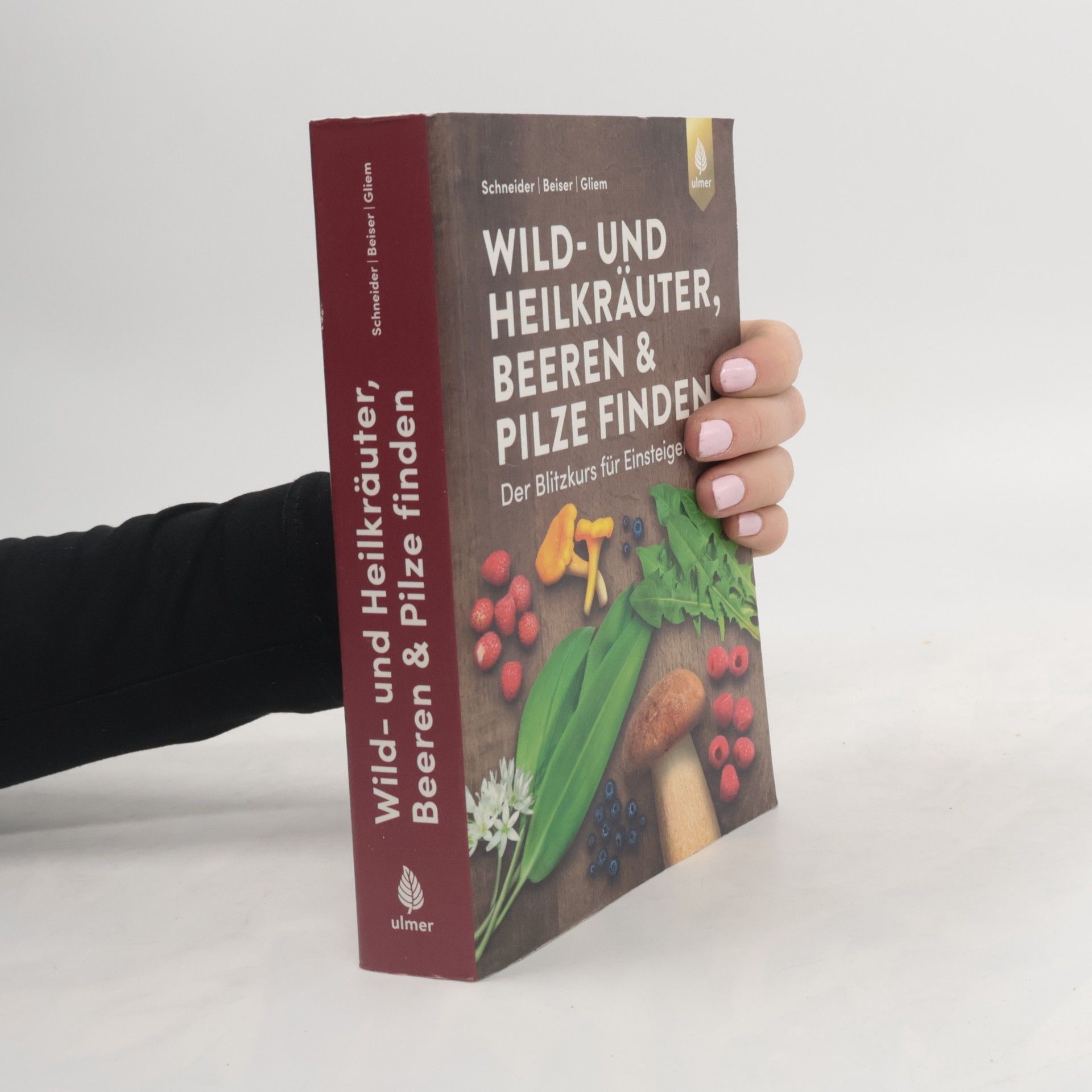 Christine Schneider Wild- und Heilkräuter, Beeren und Pilze finden