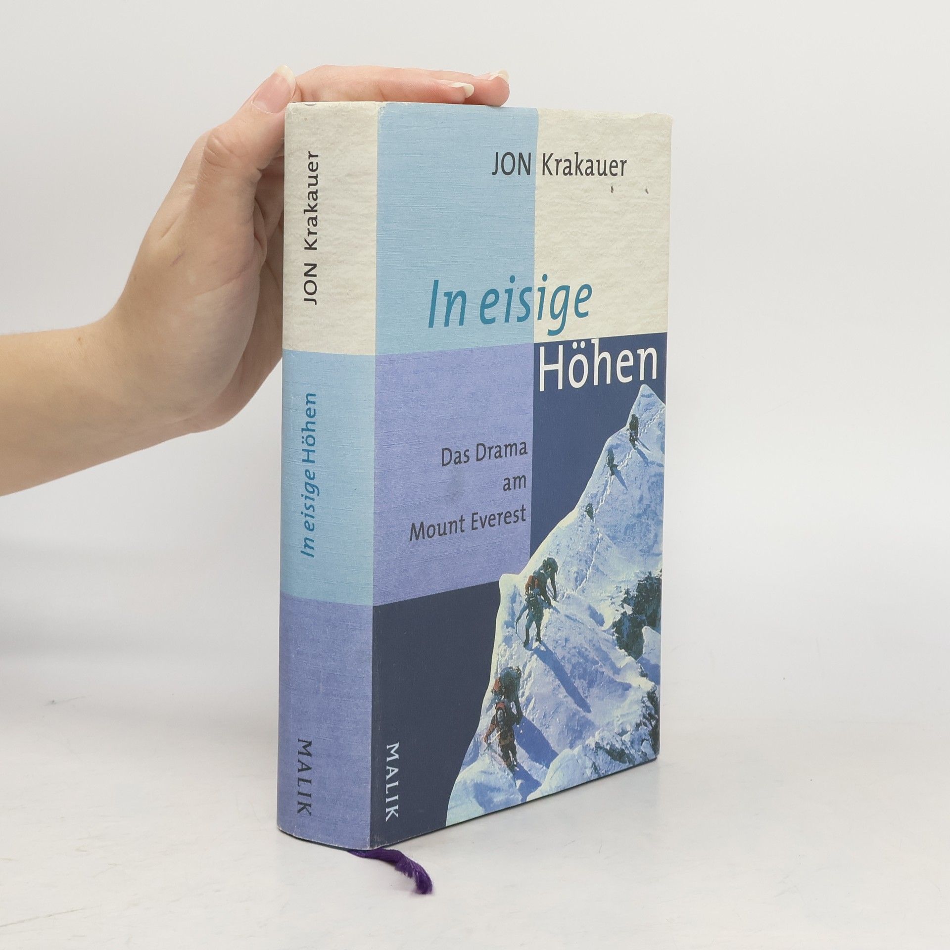 Jon Krakauer In eisige Höhen