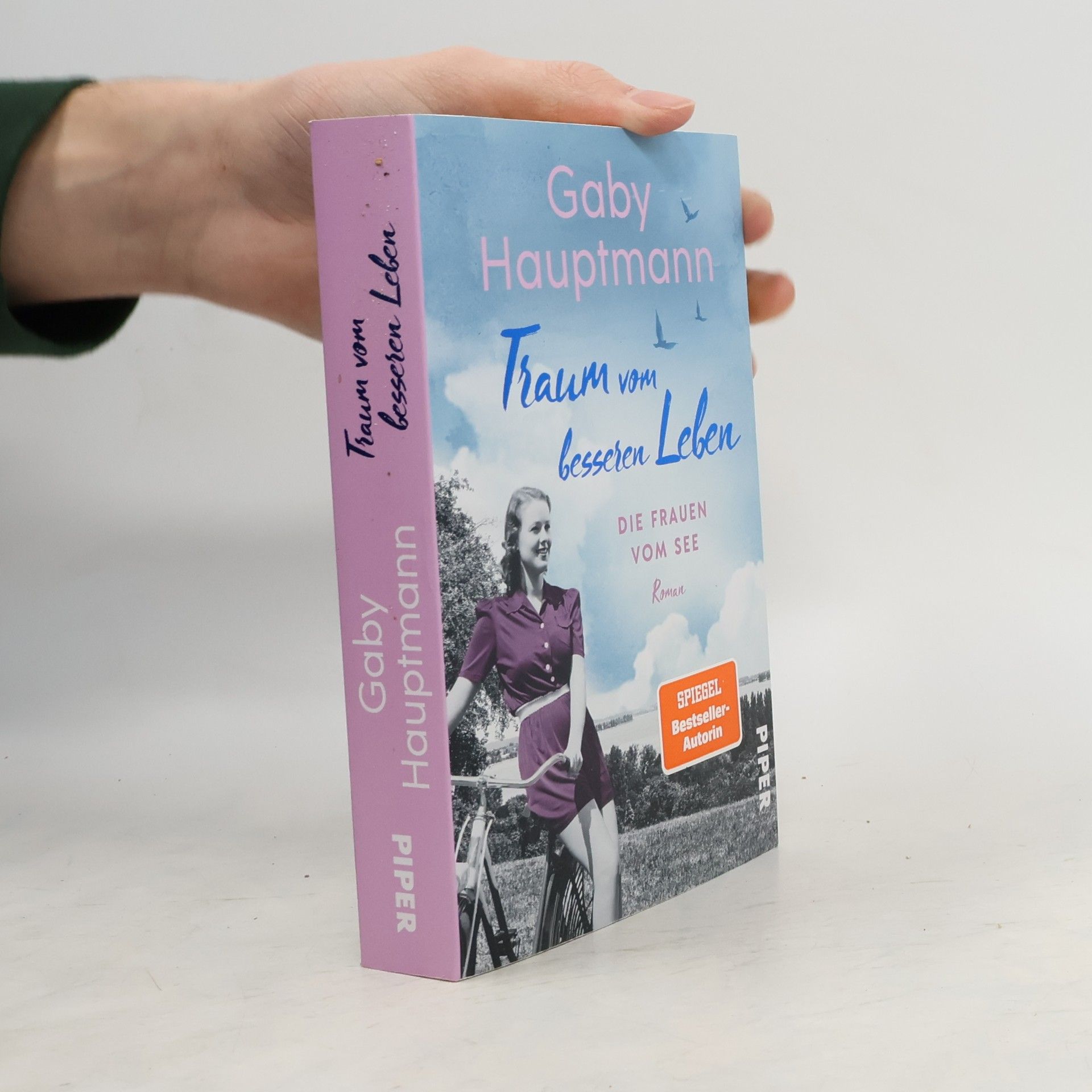 Traum vom besseren Leben / Die Frauen vom See Bd.2