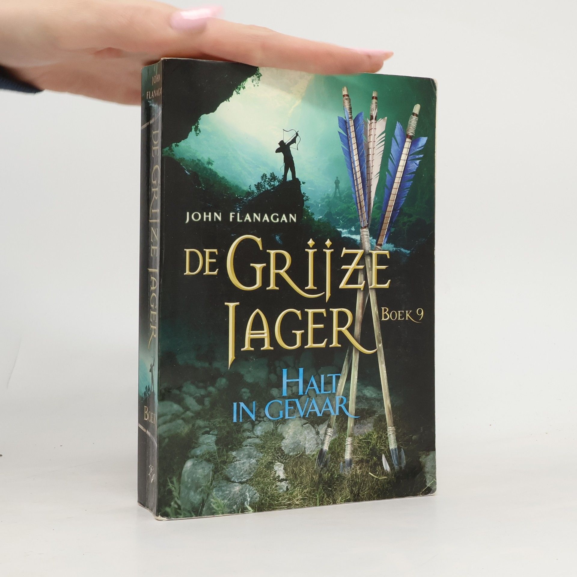 Laurent Corneille De Grijze Jager - 9: Halt in Gevaar