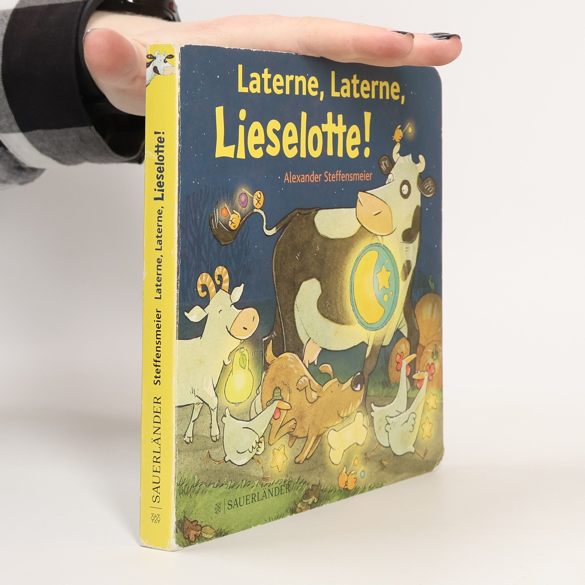 Alexander Steffensmeier Laterne, Laterne, Lieselotte!
