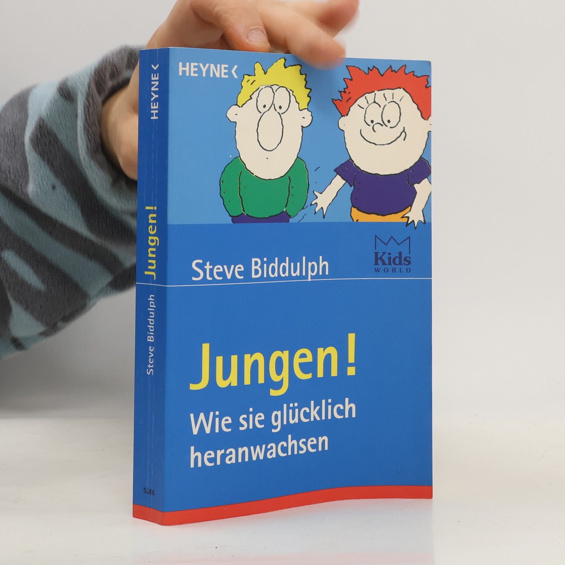 Steve Biddulph Jungen. Wie sie glücklich heranwachsen