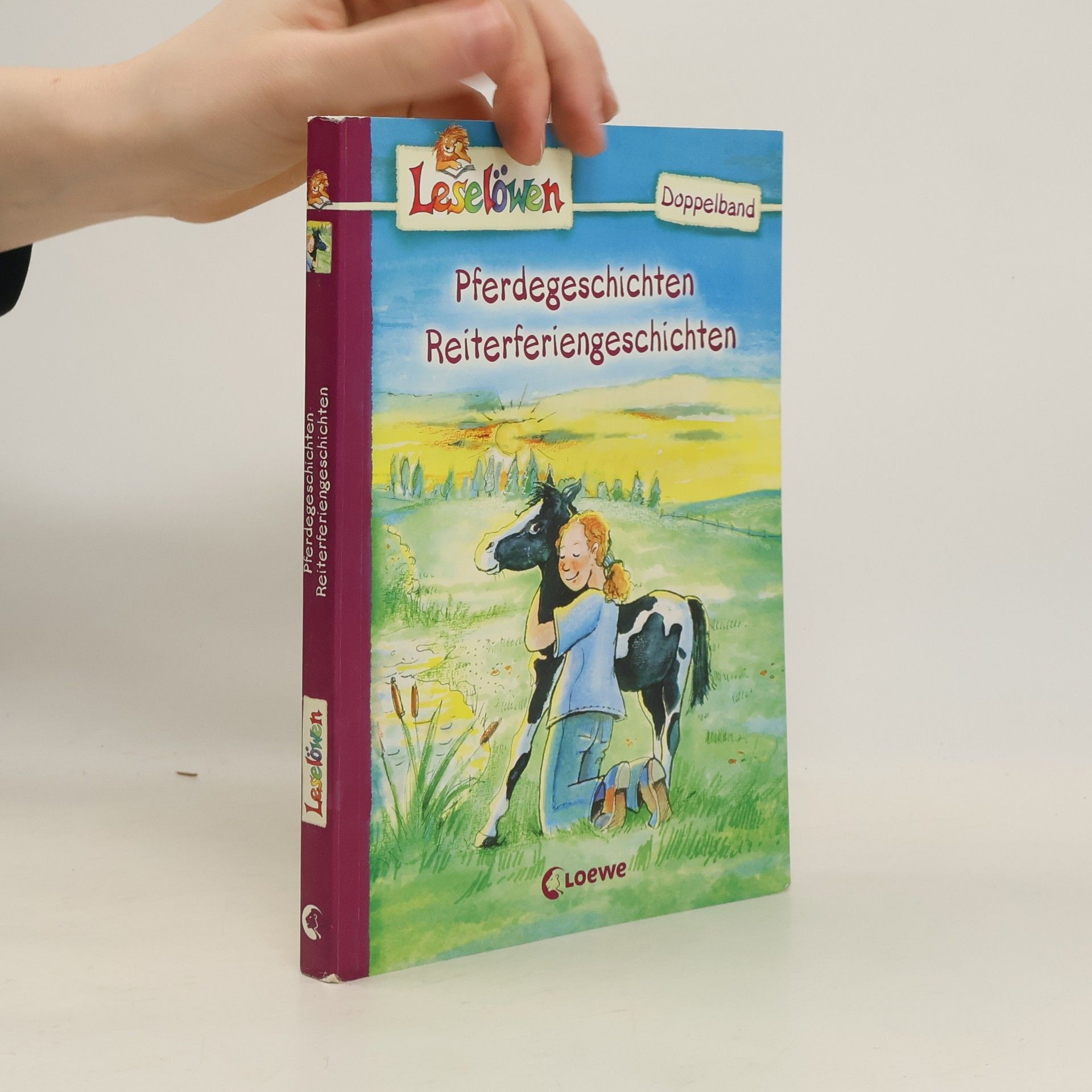 Autorenkollektiv Leselöwen. Pferdegeschichten. Reiterferiengeschichten