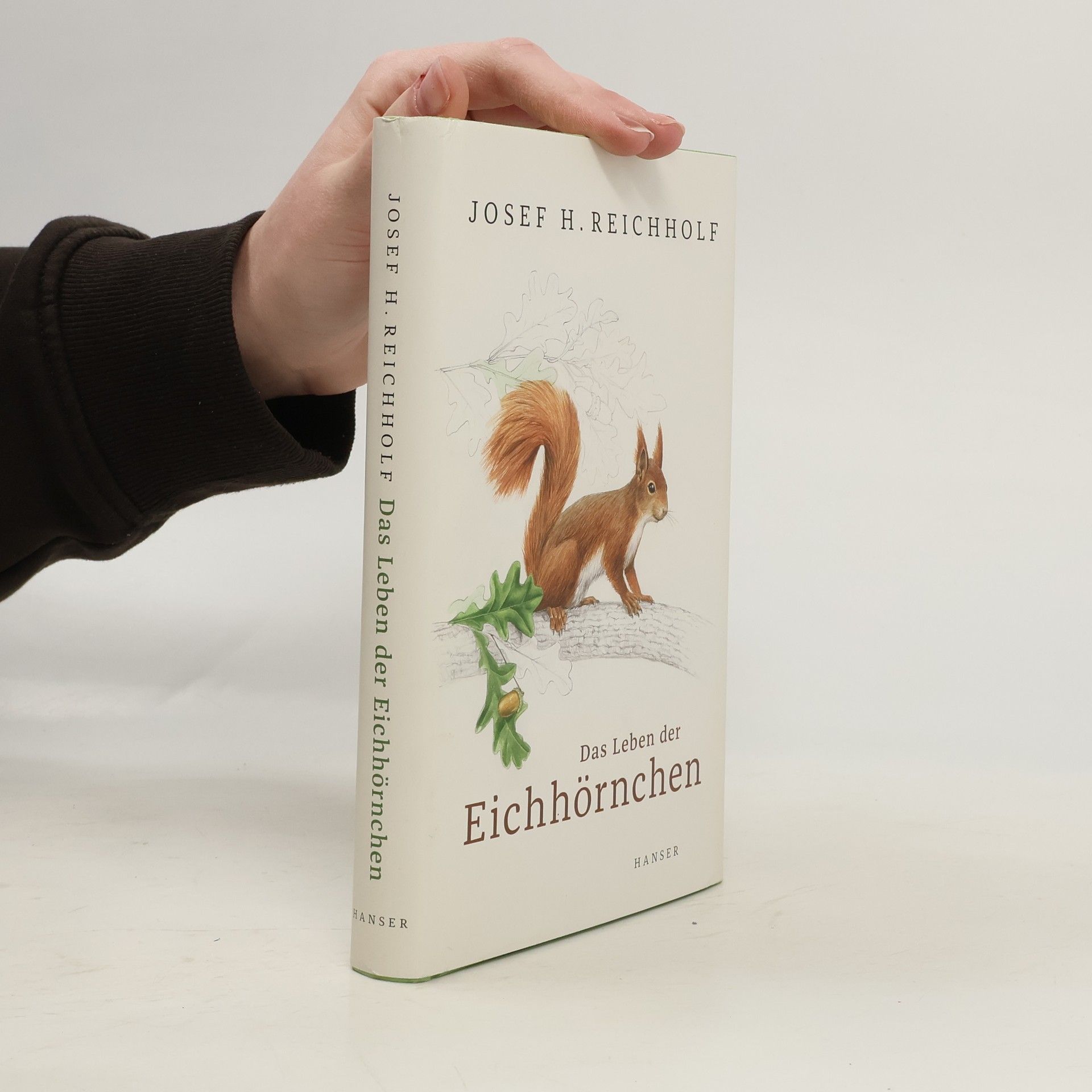 Josef Helmut Reichholf Das Leben der Eichhörnchen