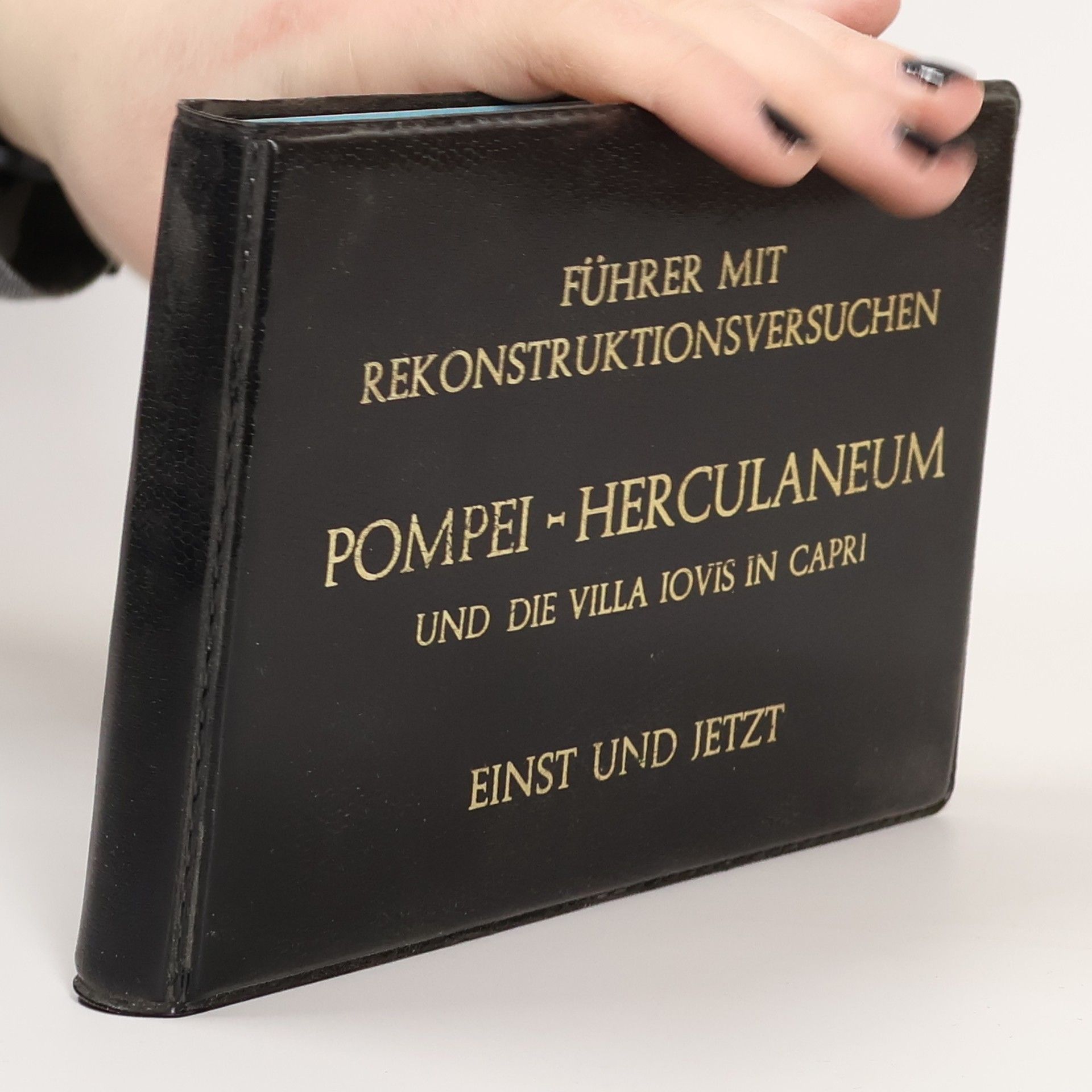 Autorenkollektiv Führer mit Rekonstruktionsversuchen. Pompei, Herculaneum und die Villa Jovis in Capri