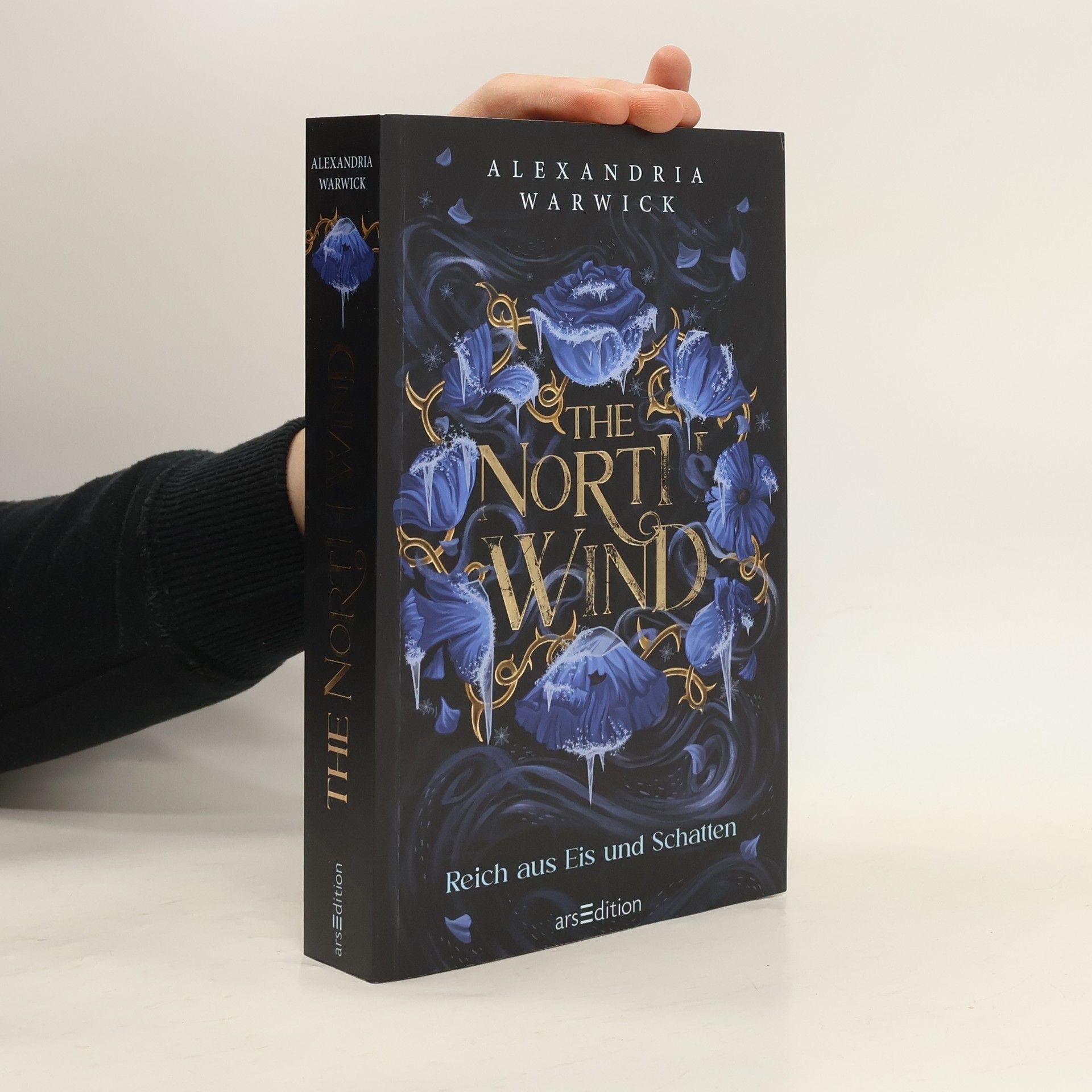 Alexandria Warwick The North Wind - Reich aus Eis und Schatten