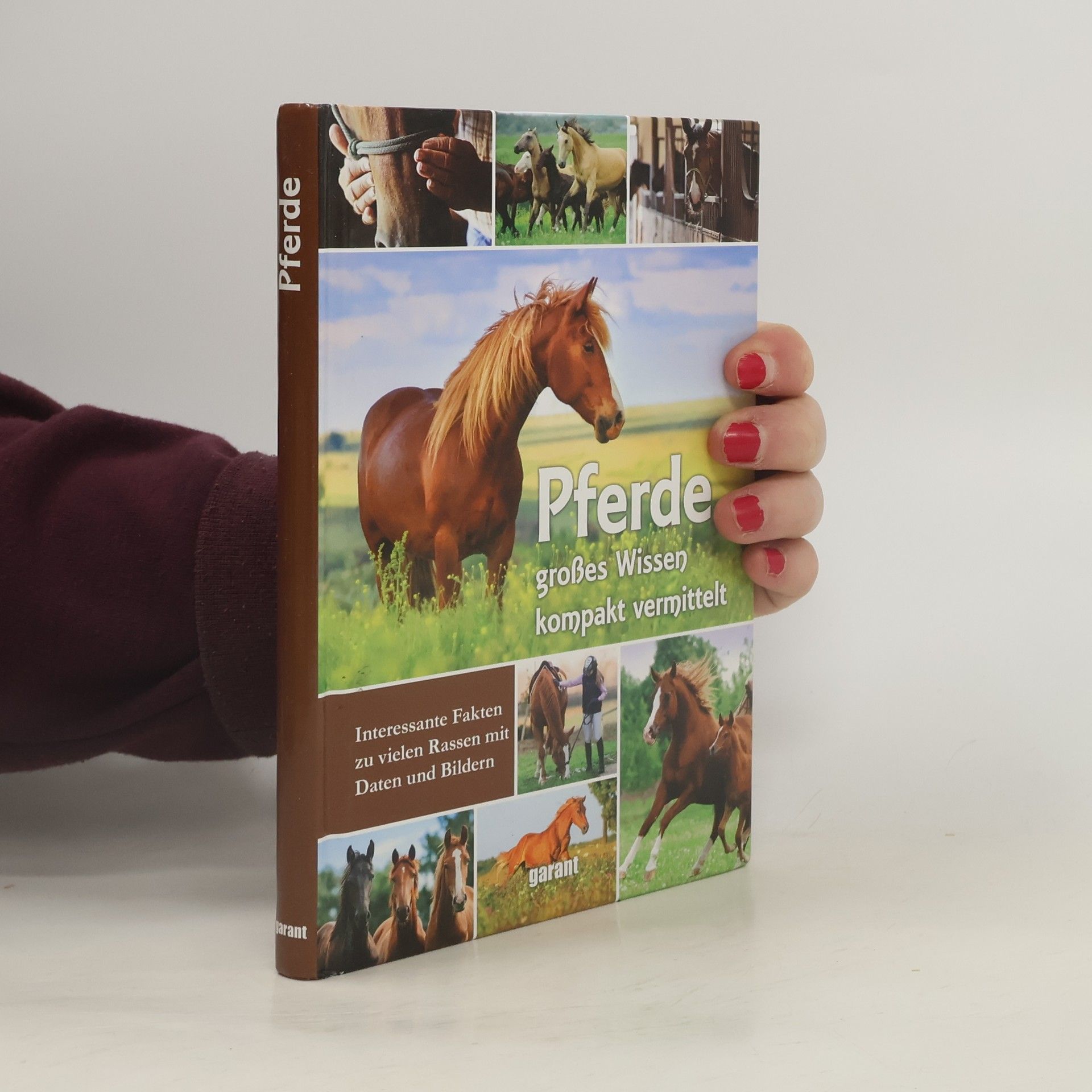 Auteurscollectief Pferde