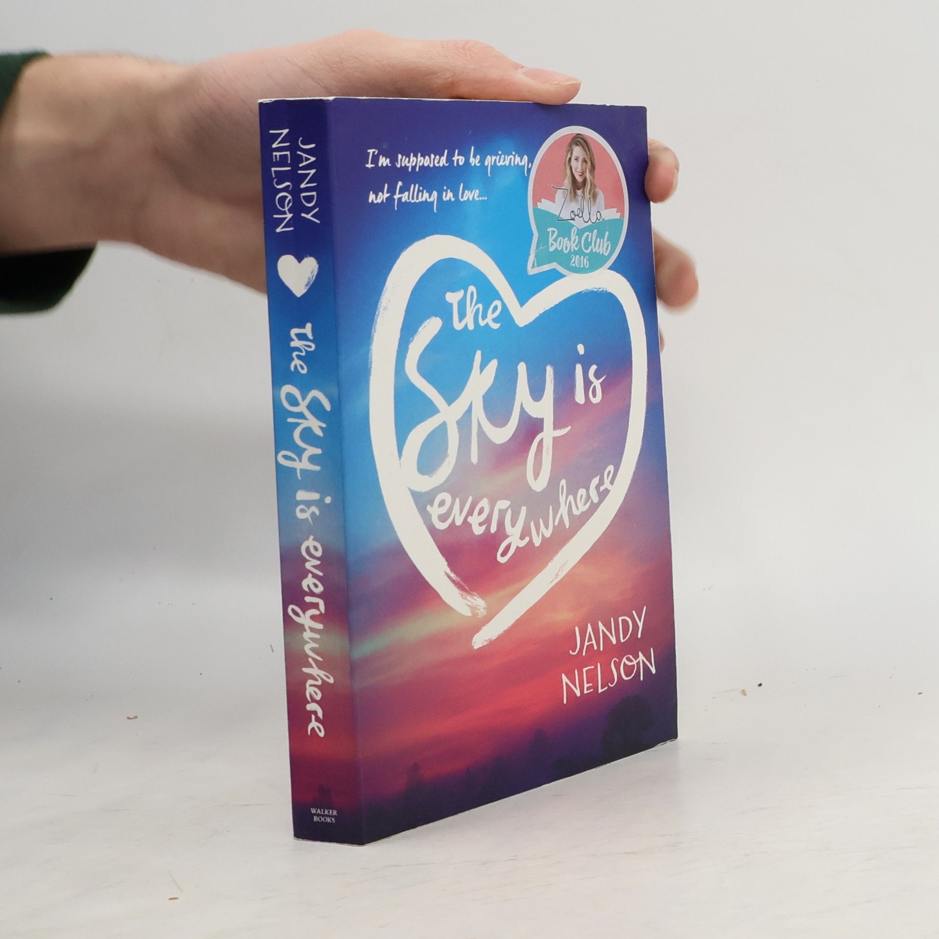 Jandy Nelson The sky is everywhere