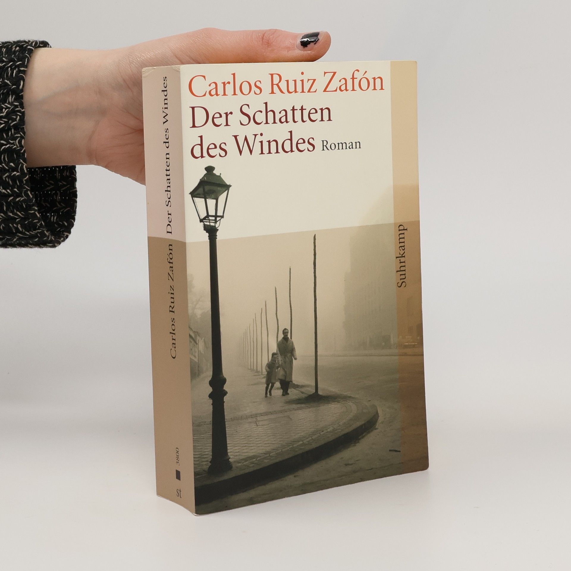 Carlos Ruiz Zafón Der Schatten des Windes