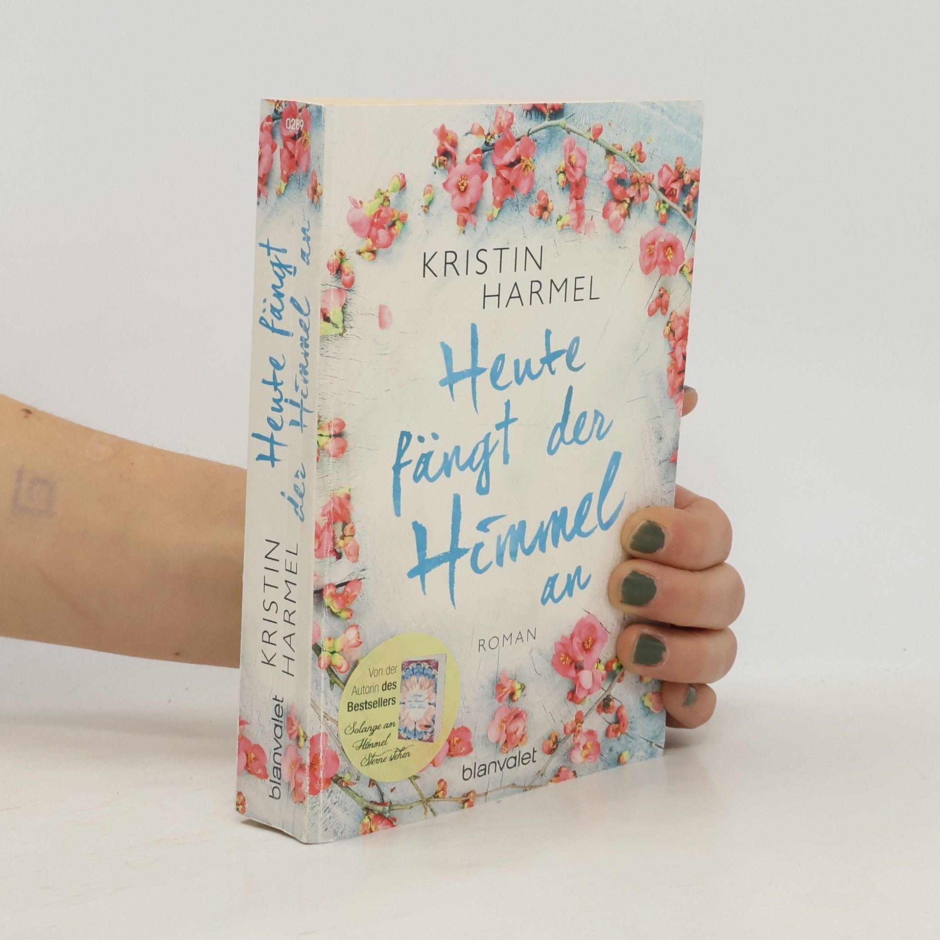 Kristin Harmel Heute fängt der Himmel an