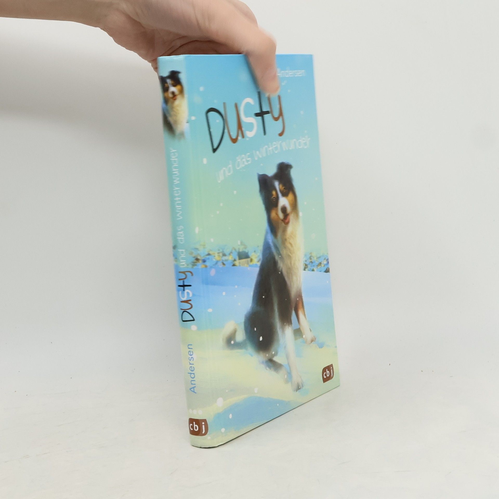 Wolfram Hänel Dusty und das Winterwunder