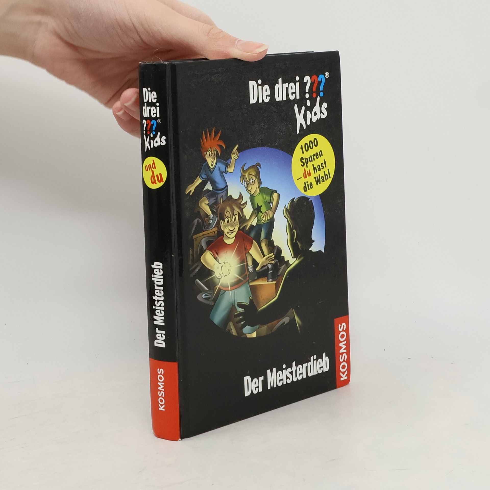 Boris Pfeiffer Der Meisterdieb