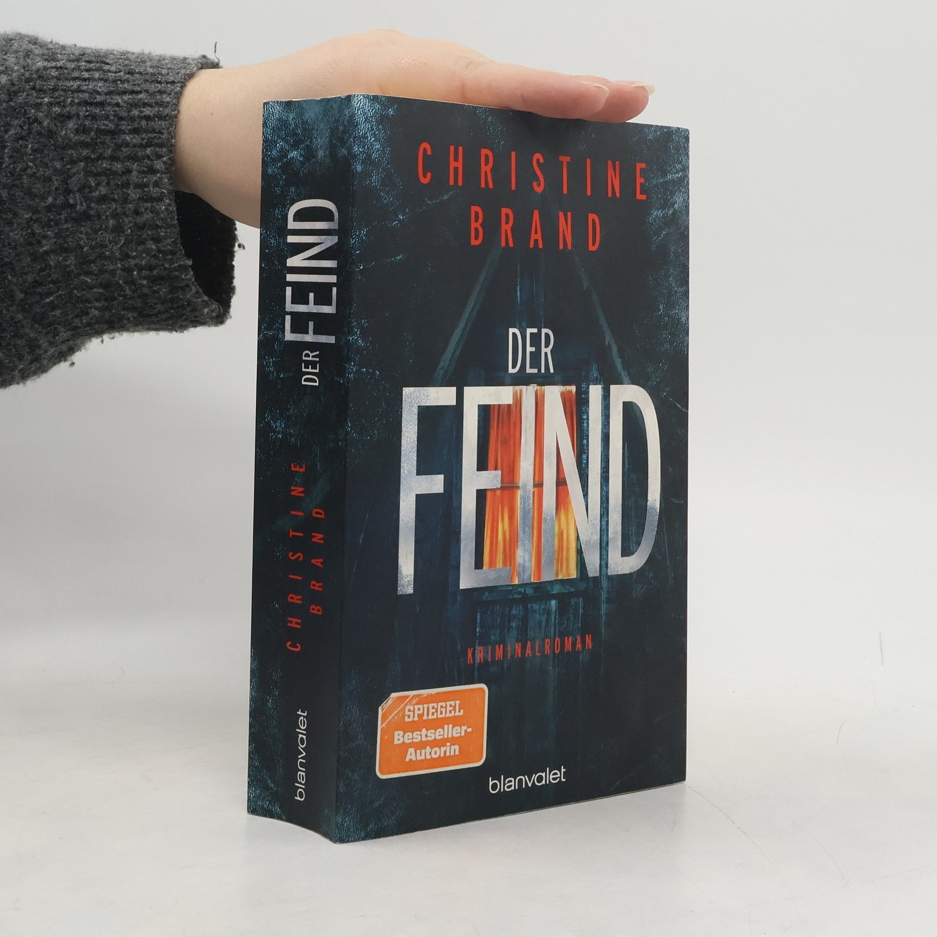 Christine Brand Der Feind