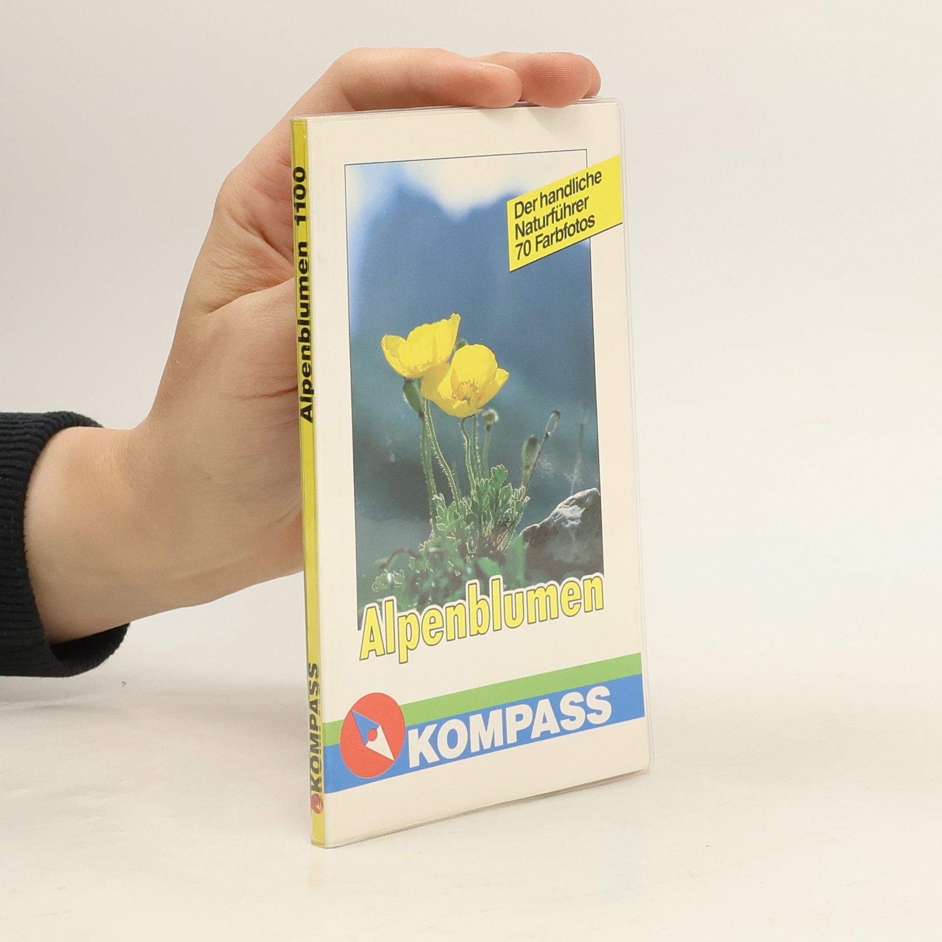 Christine Jaitner Alpenblumen