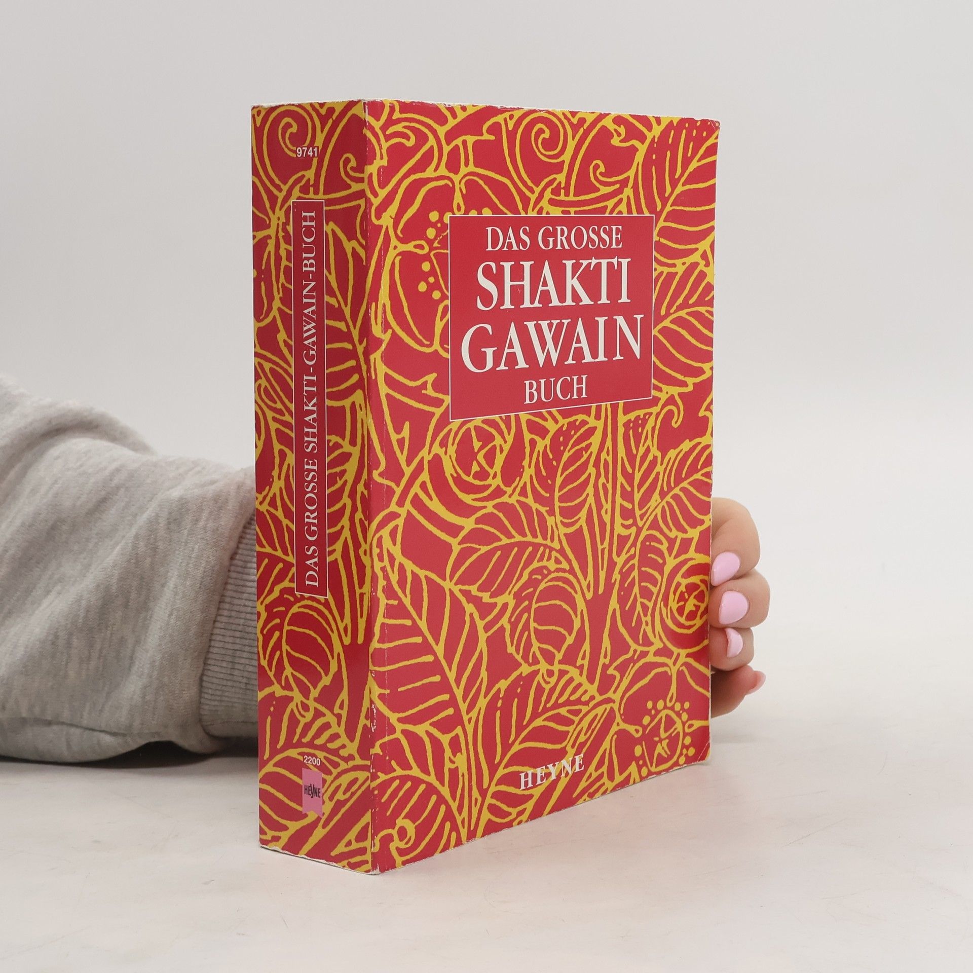 Shakti Gawain Das grosse Shakti-Gawain Buch