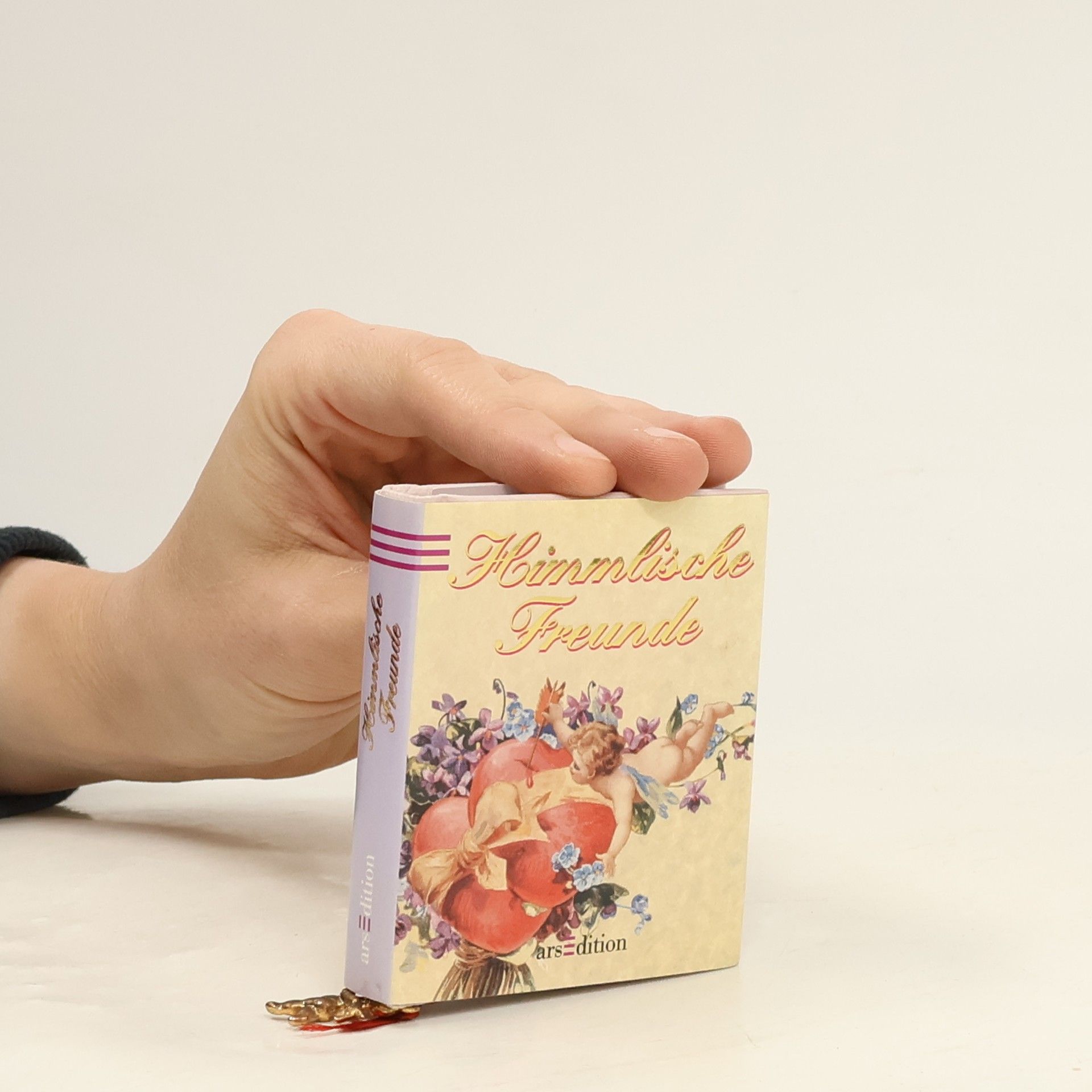 Heidemarie Herzog Mini-Libri: Himmlische Freunde