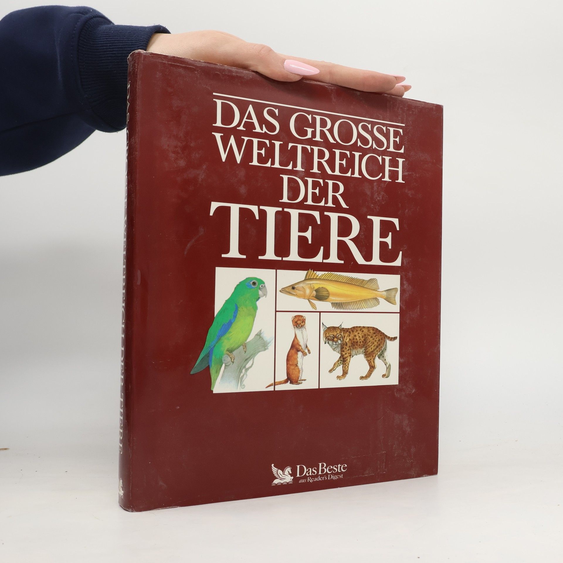 Philip Whitfield Das grosse Weltreich der Tiere