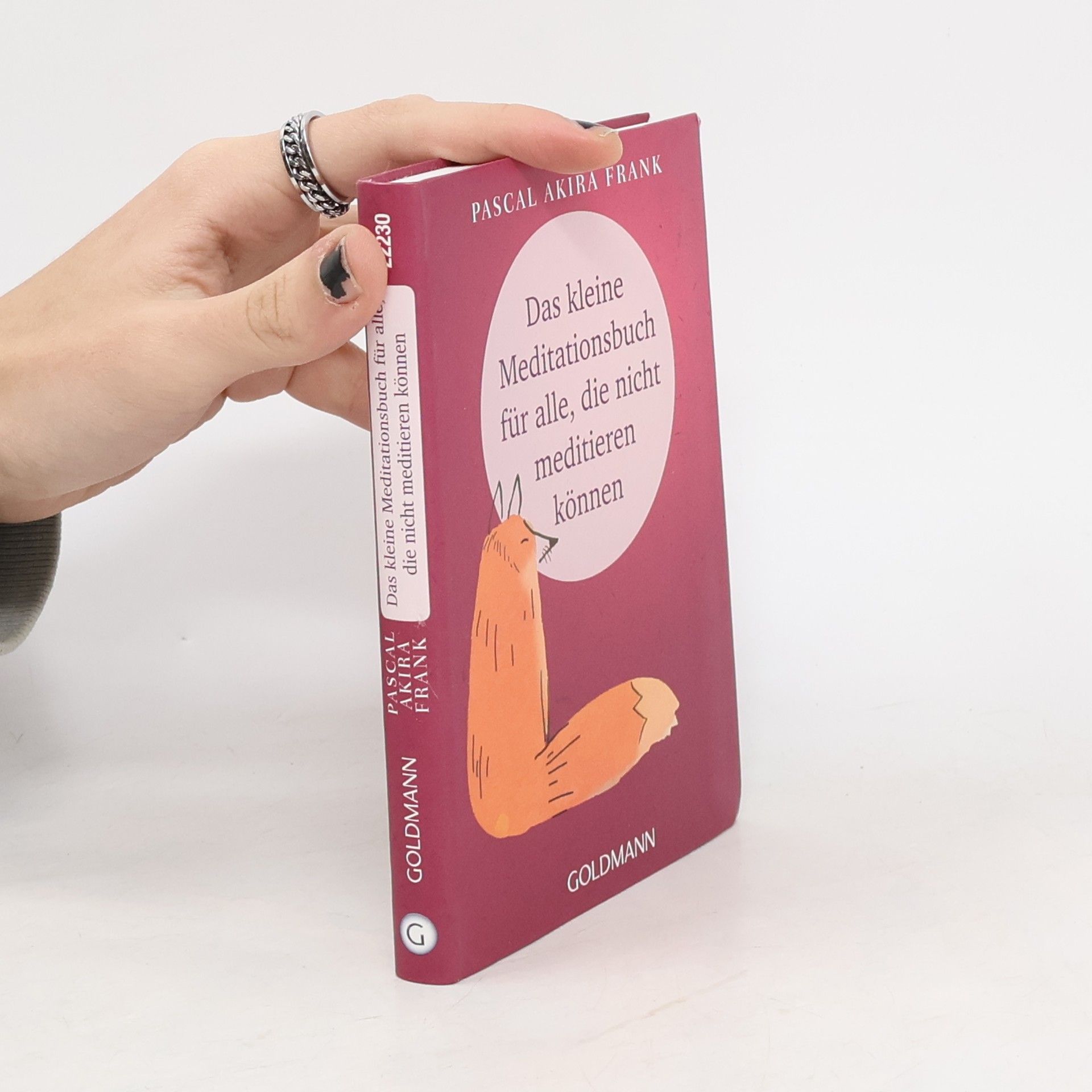 Pascal Akira Frank Das kleine Meditationsbuch für alle, die nicht meditieren können