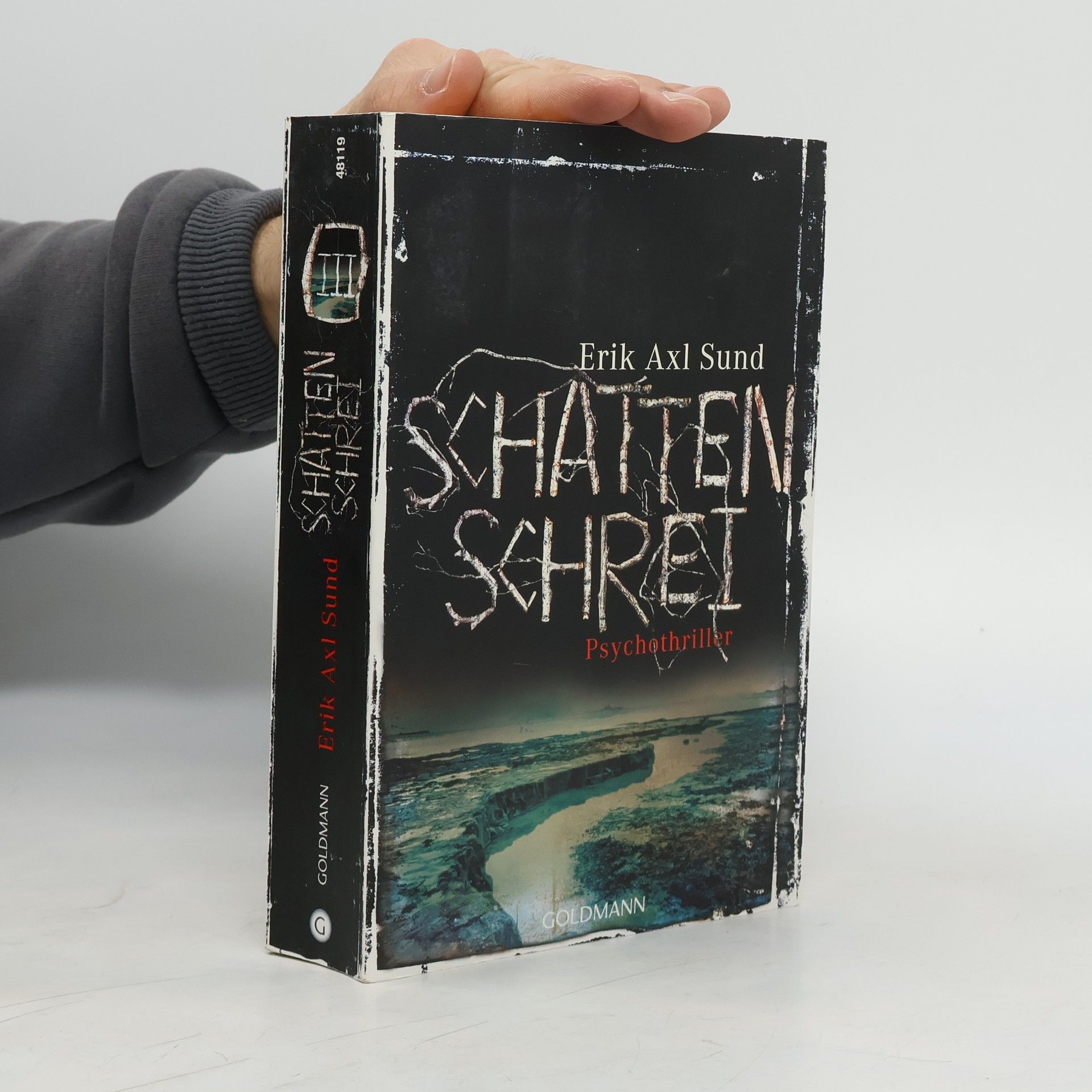 Erik Axl Sund Schattenschrei