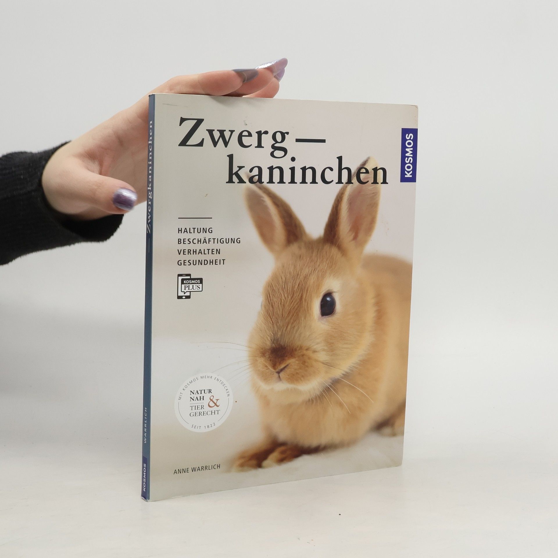 Anne Warrlich Zwergkaninchen