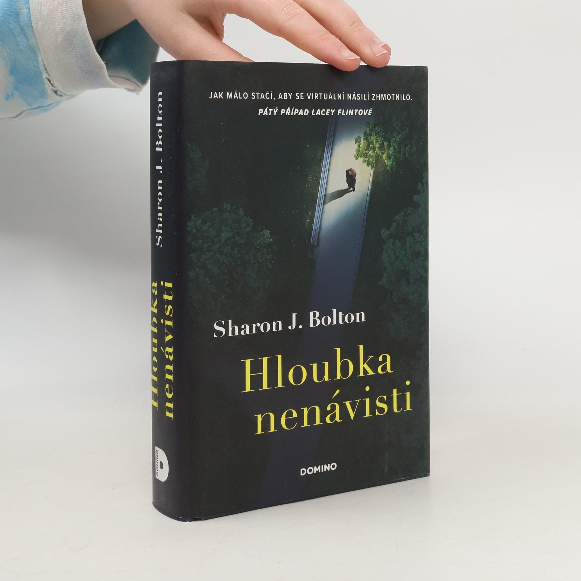 Sharon J. Bolton Hloubka nenávisti