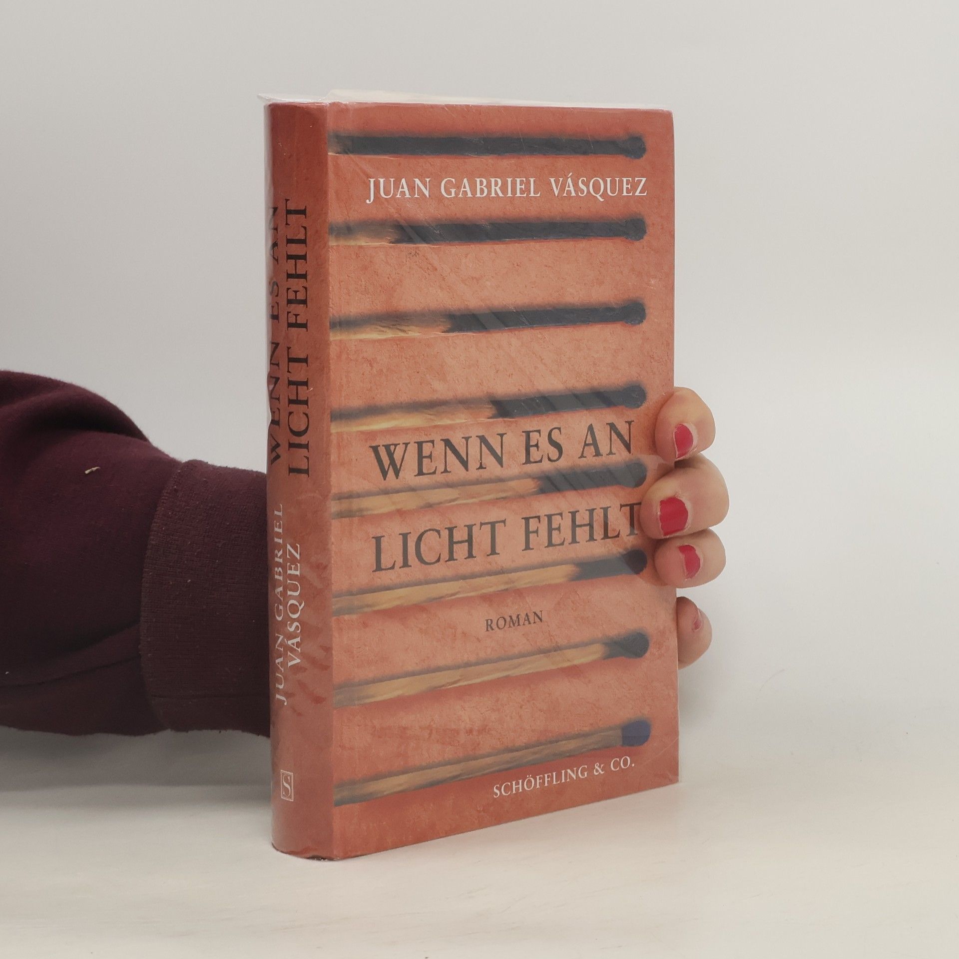 Juan Gabriel Vásquez Wenn es an Licht fehlt