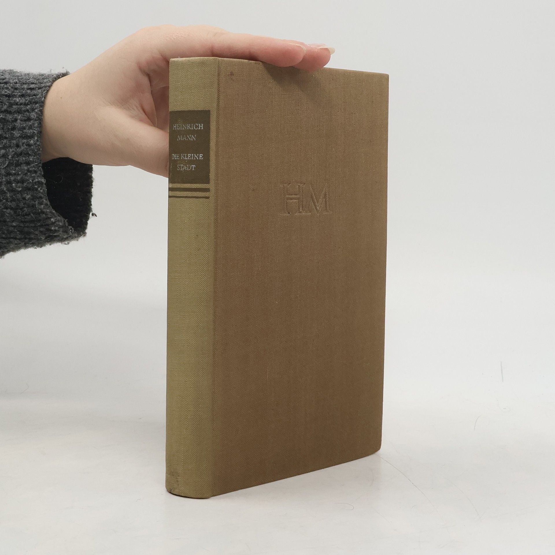 Heinrich Mann Die Kleine Stadt