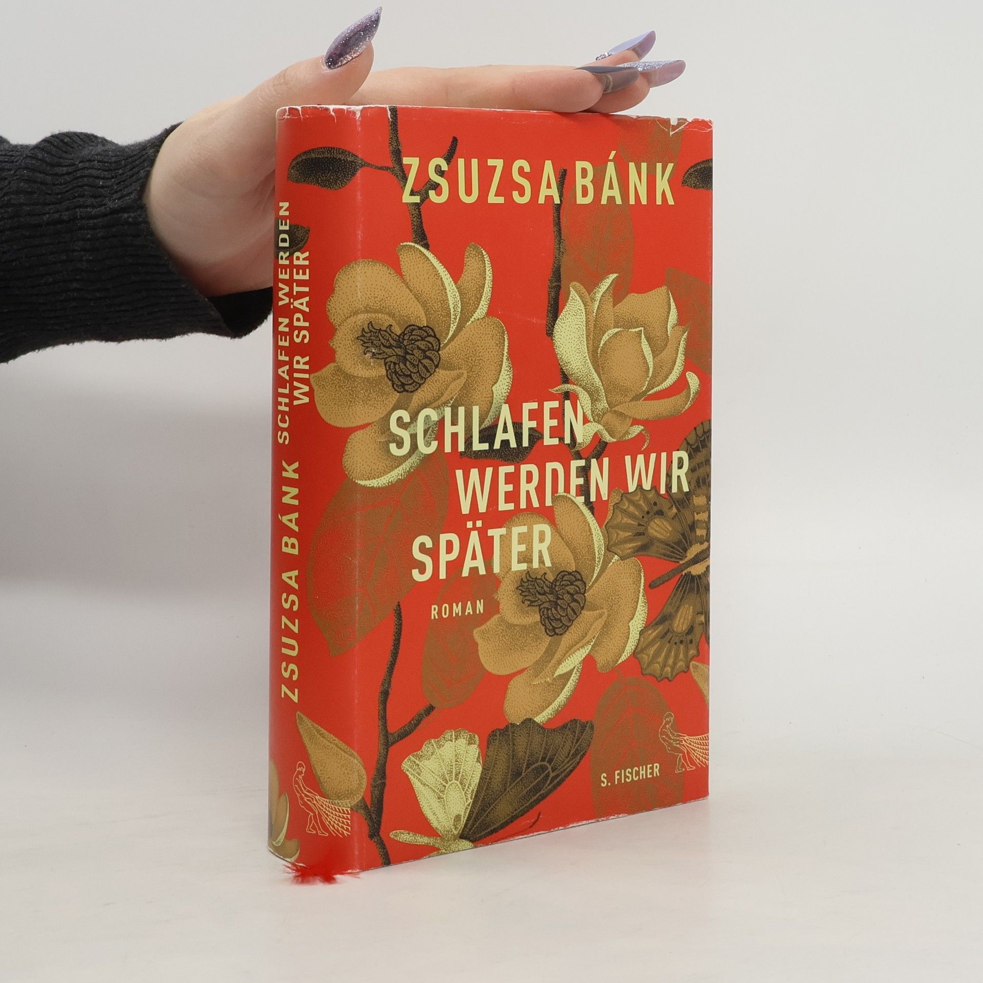 Zsuzsa Bánk Schlafen werden wir später