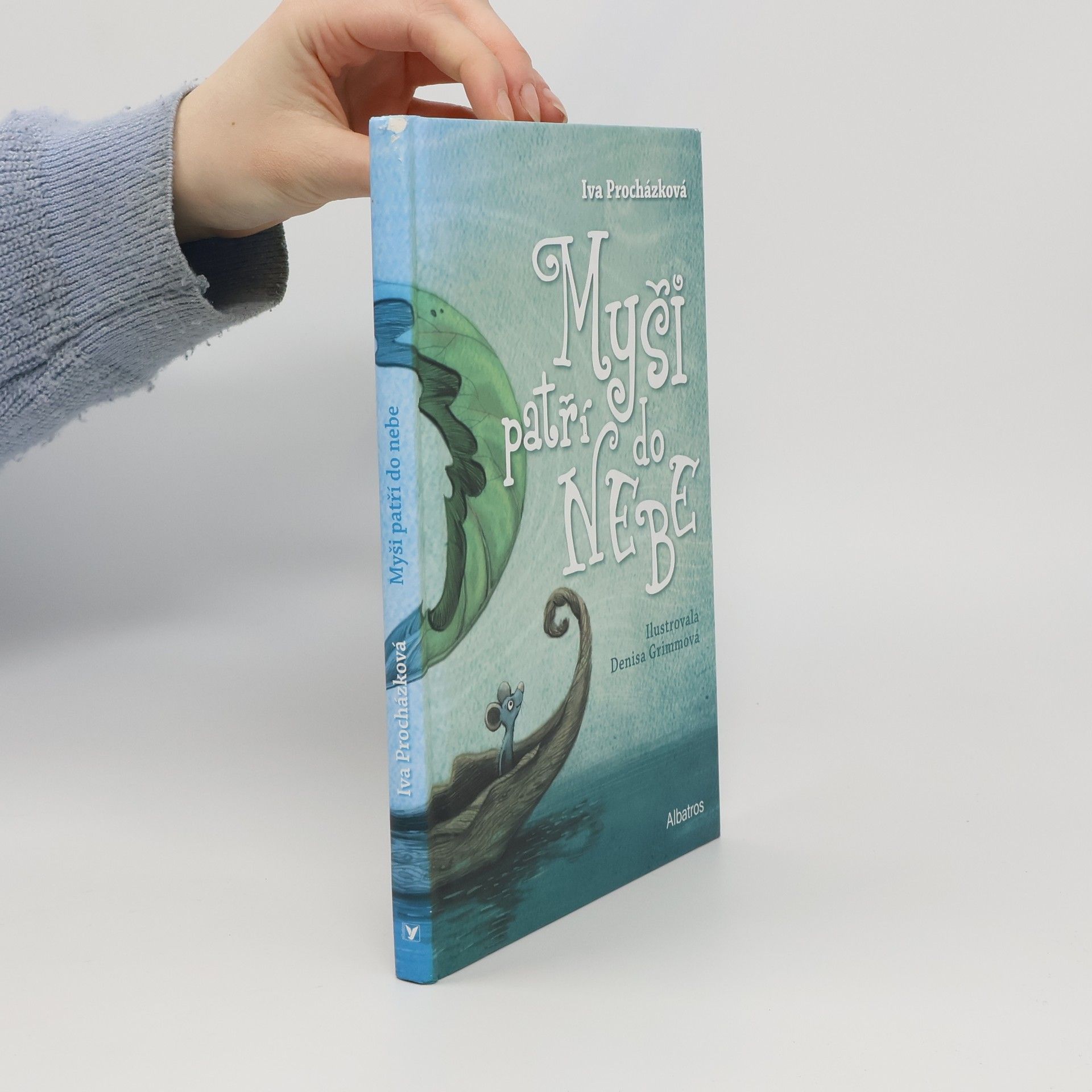 Iva Prochàzkovà Myši patří do nebe