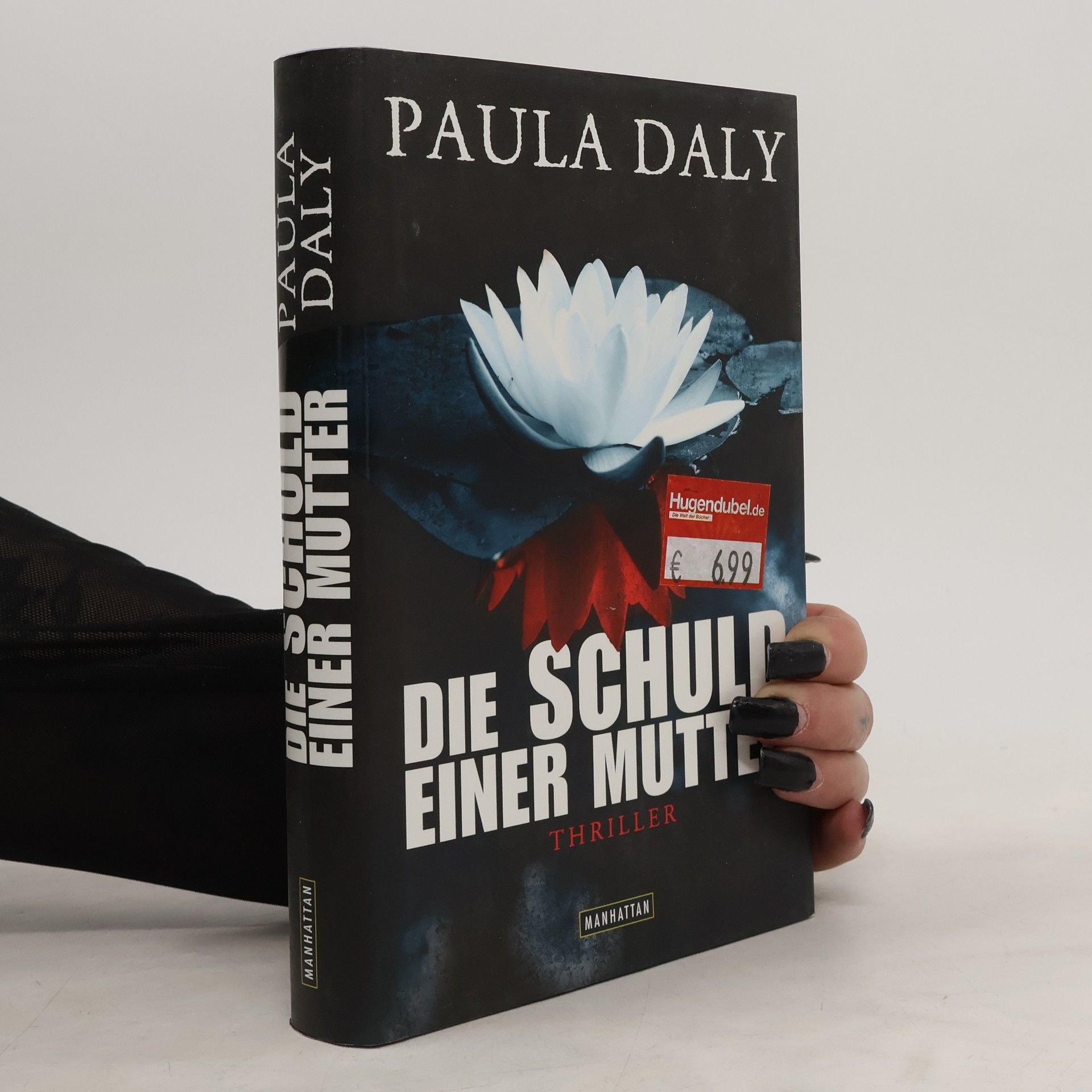 Paula Daly Die Schuld einer Mutter