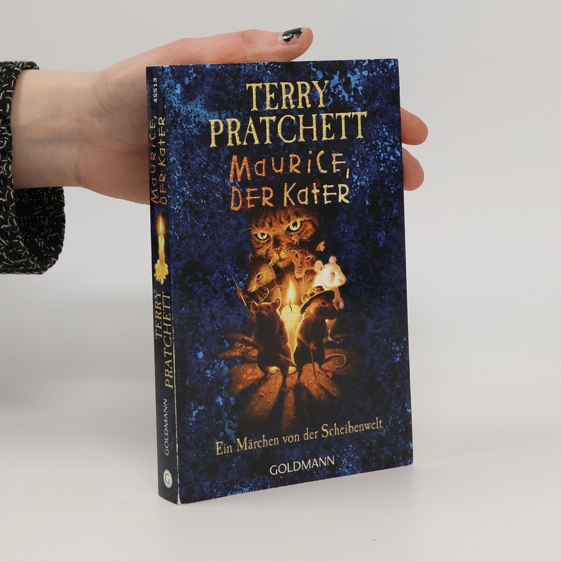 Terry Pratchett Maurice, der Kater