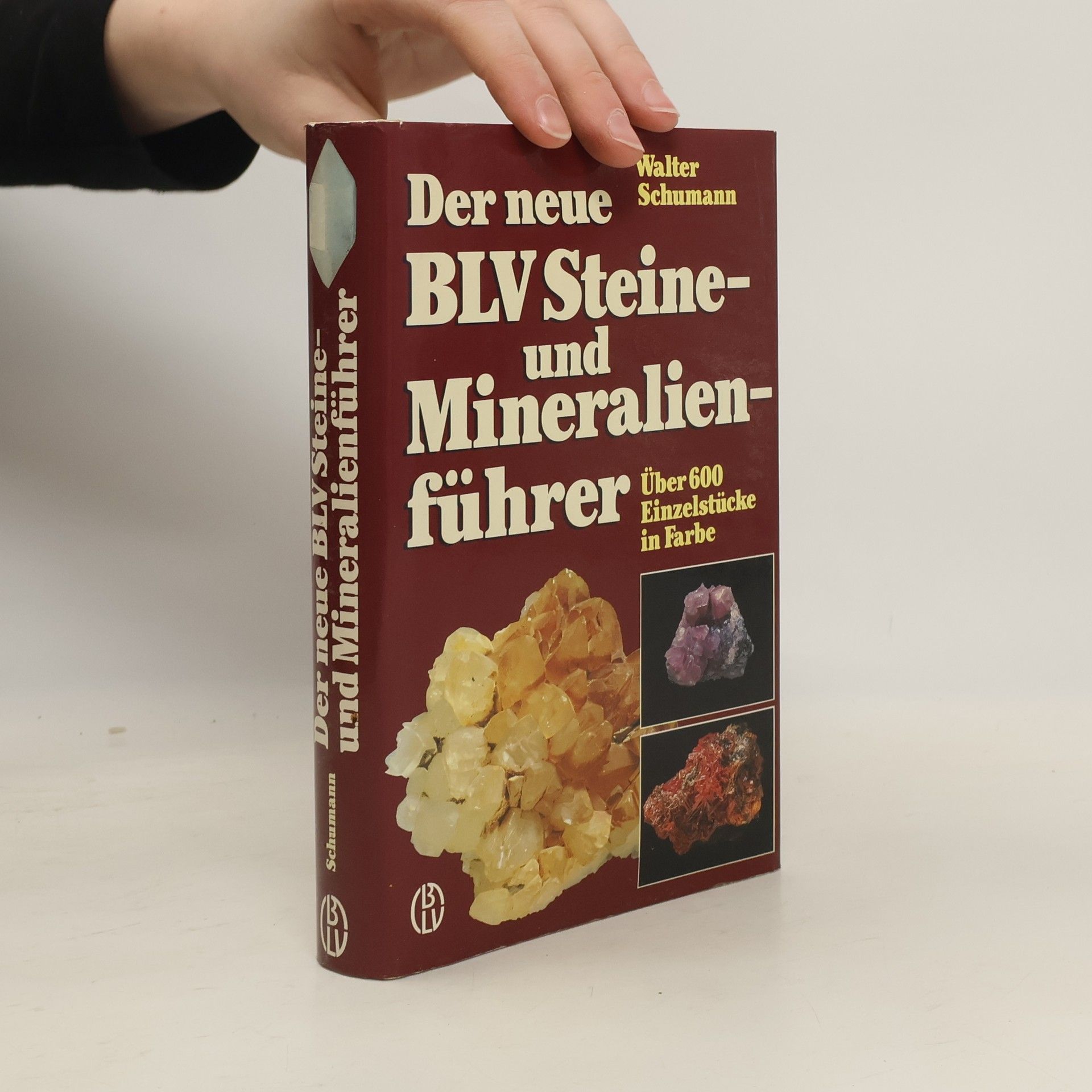 Walter Schumann Der neue BLV-Steine- und Mineralienführer