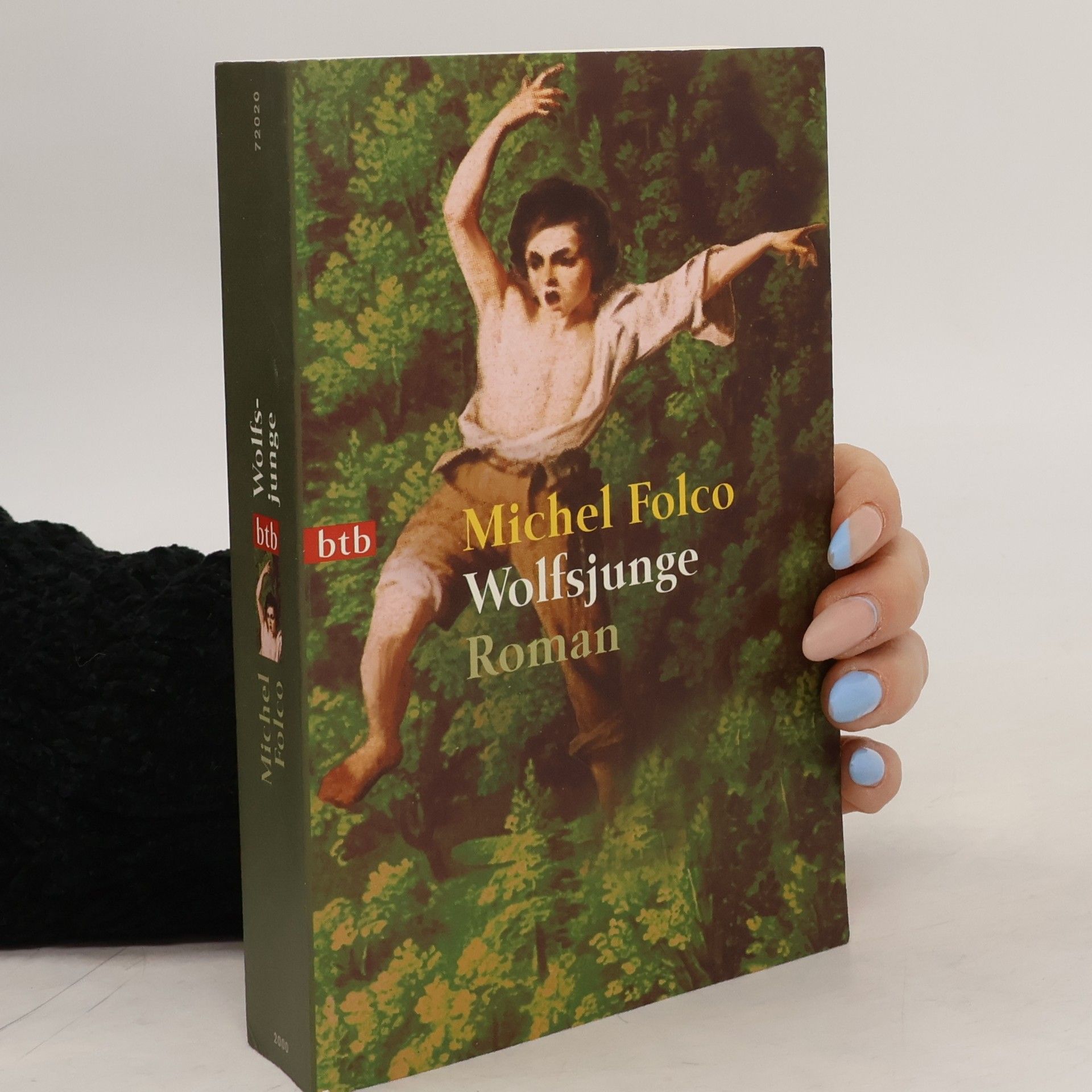 Michel Folco Wolfsjunge