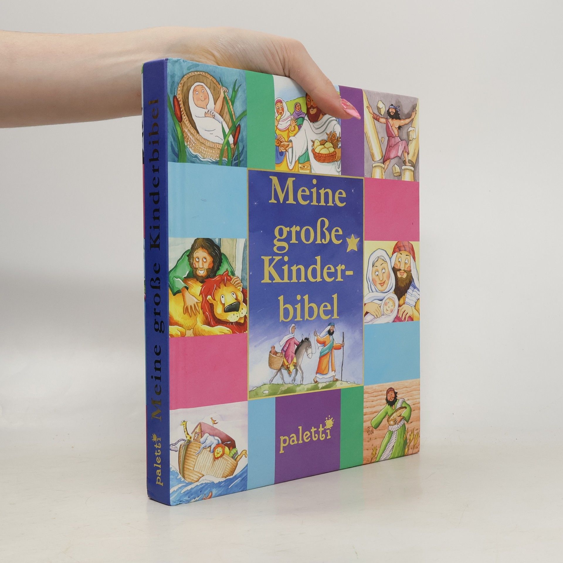 Sara Sliwinska Meine große Kinderbibel