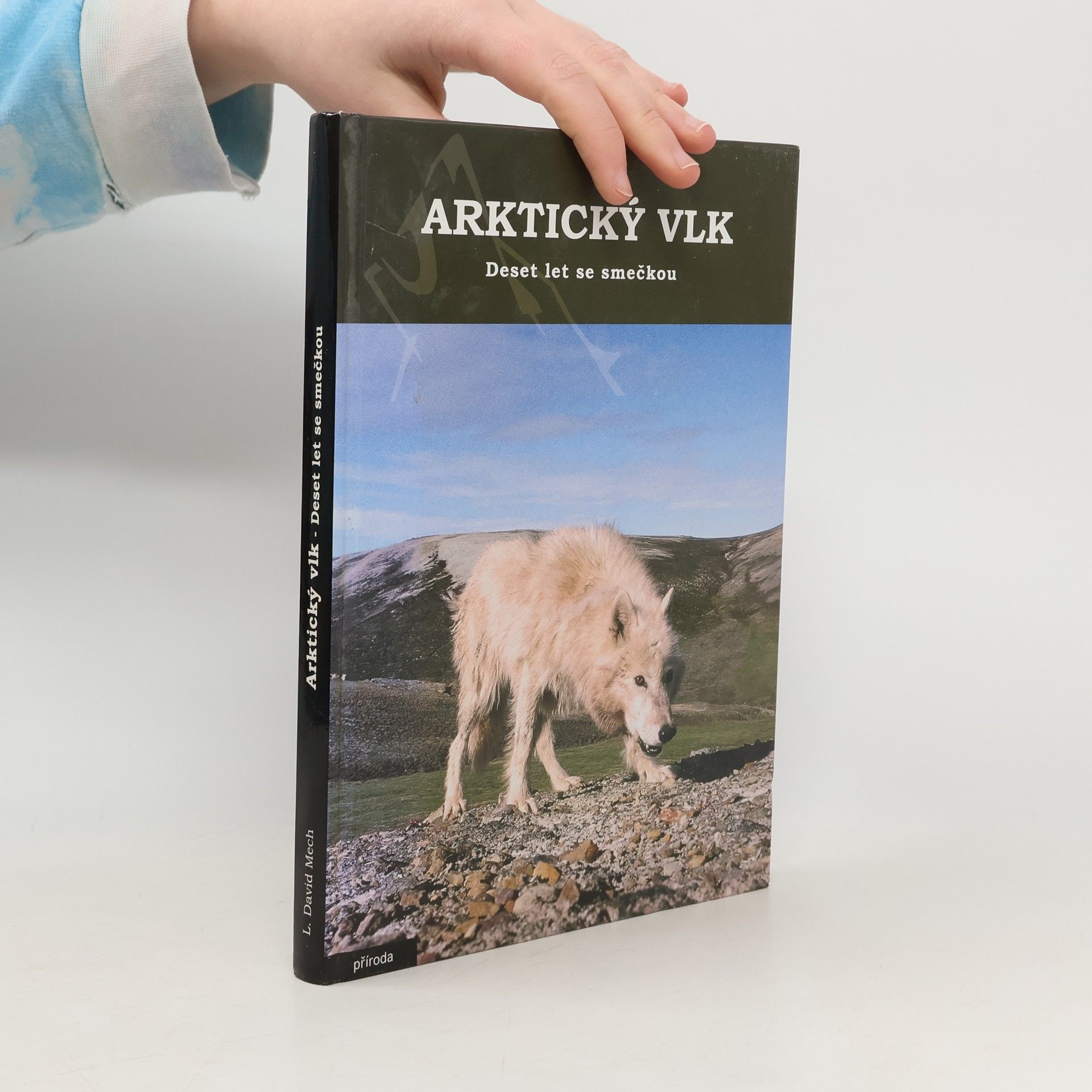 Arktický vlk - deset let se smečkou