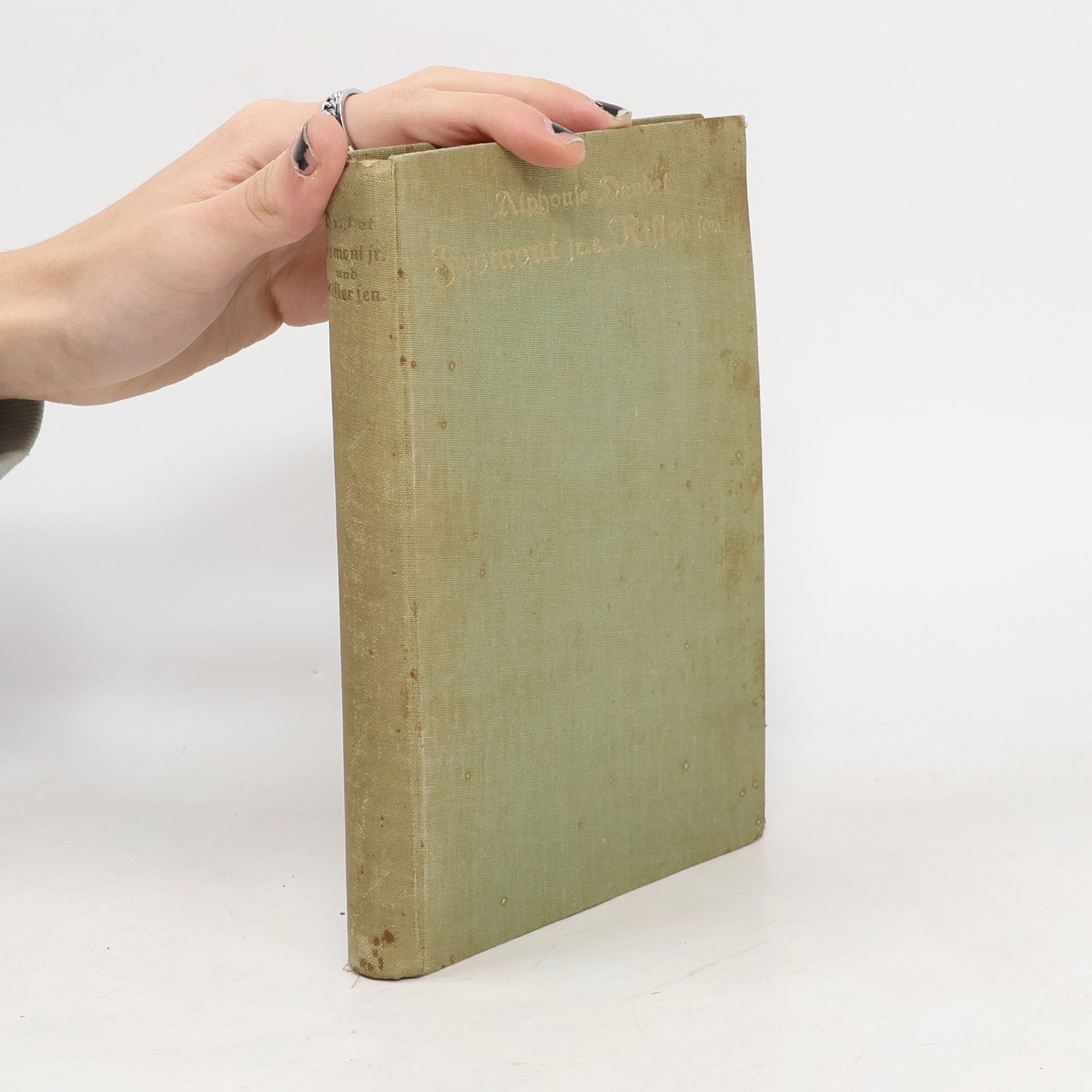 Alphonse Daudet Fromont jr. & Risler fen.