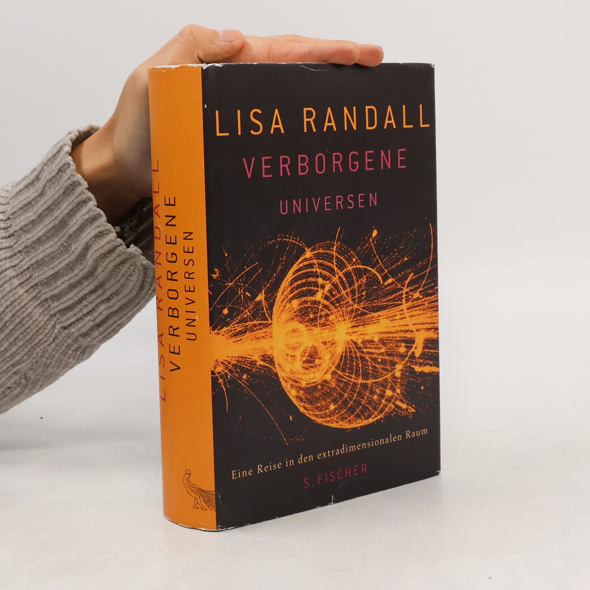 Lisa Randall Verborgene Universen