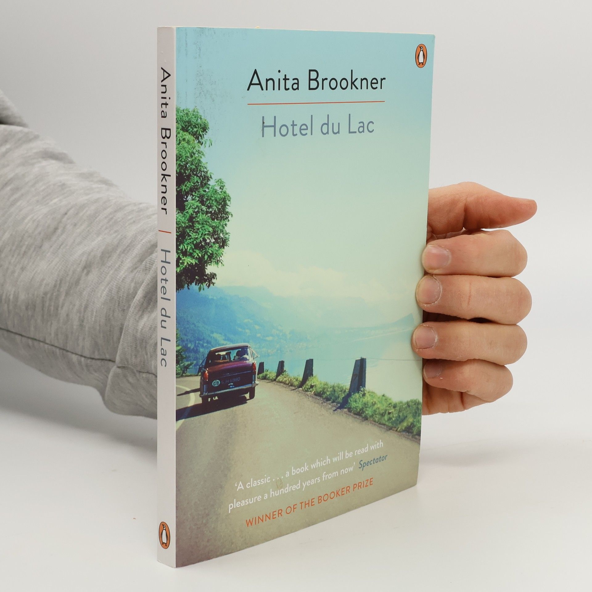 Anita Brookner Hotel du Lac