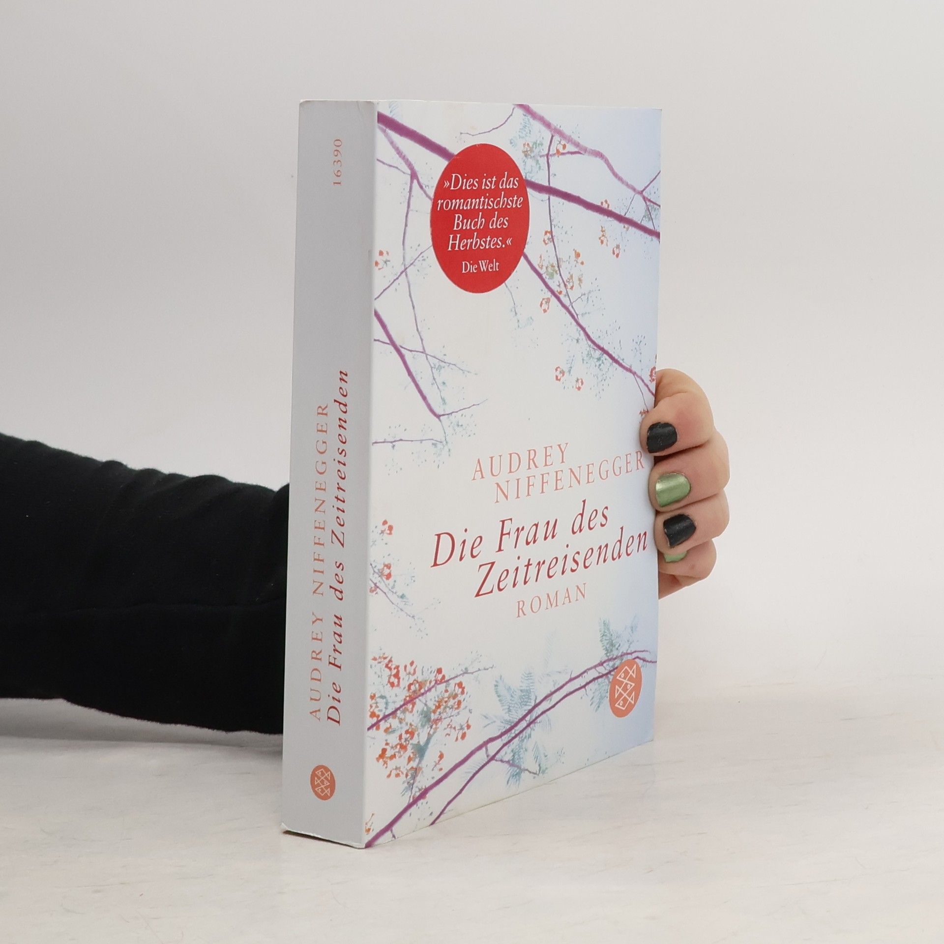 Audrey Niffenegger Die Frau des Zeitreisenden