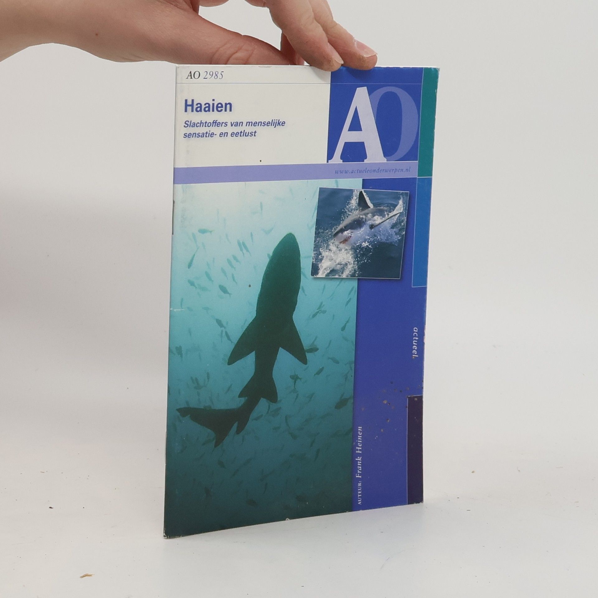 Frank Heinen Haaien