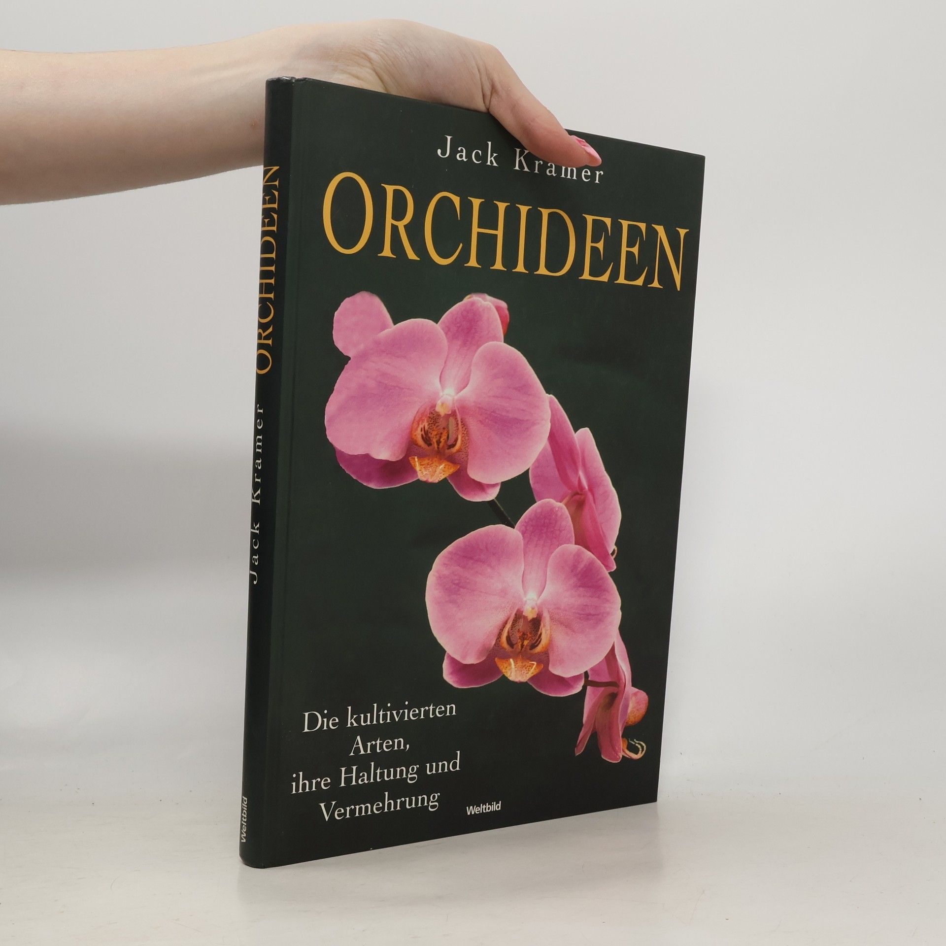 Orchideen