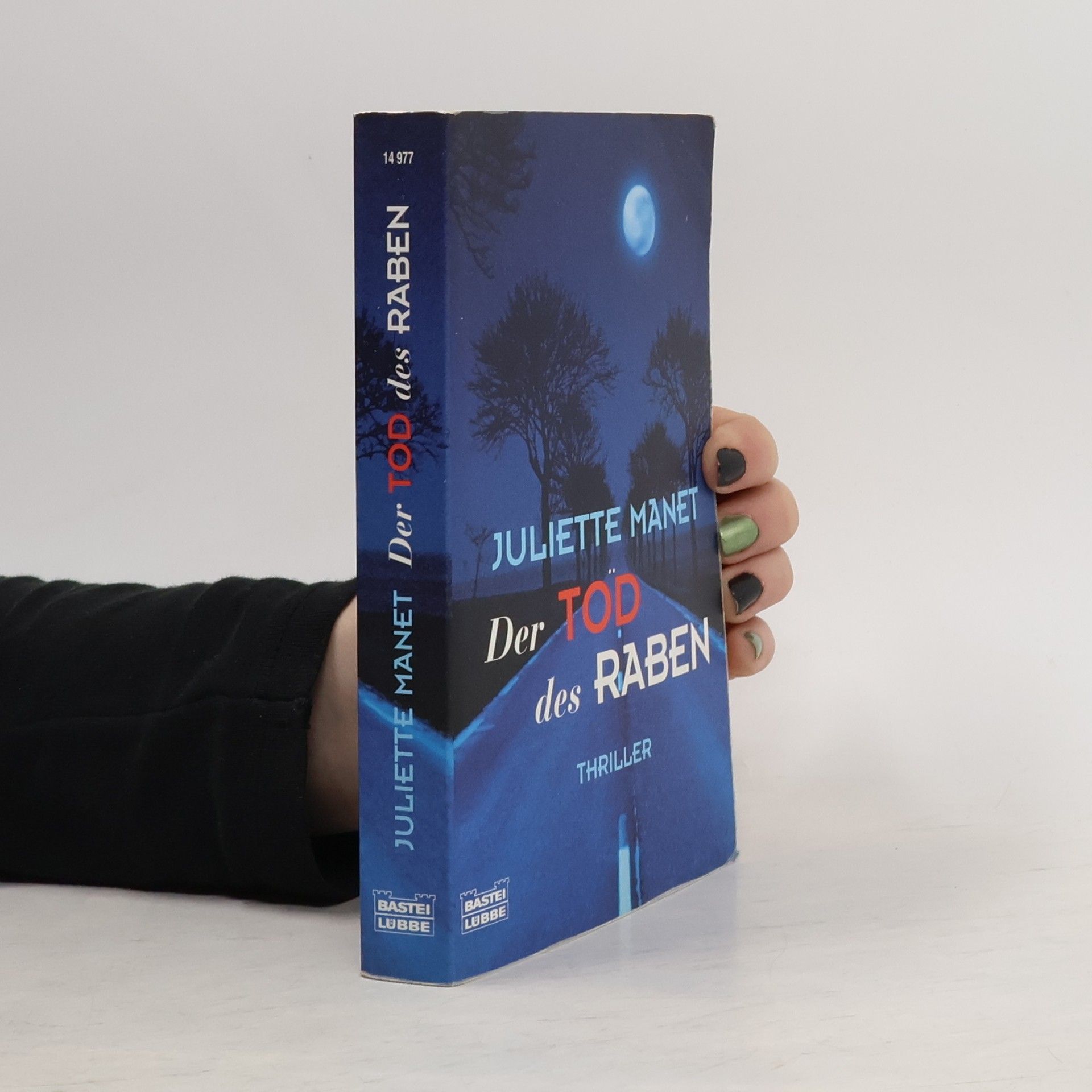 Juliette Manet Der Tod des Raben