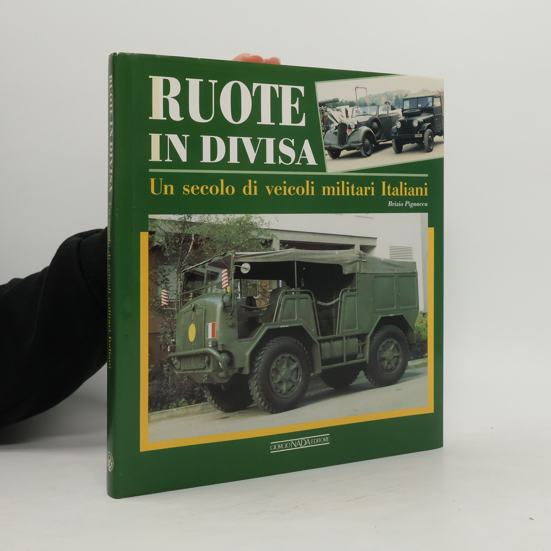 Brizio Pignacca Ruote in divisa