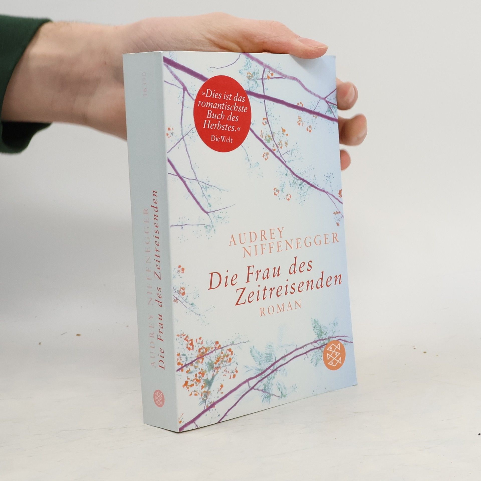 Audrey Niffenegger Die Frau des Zeitreisenden