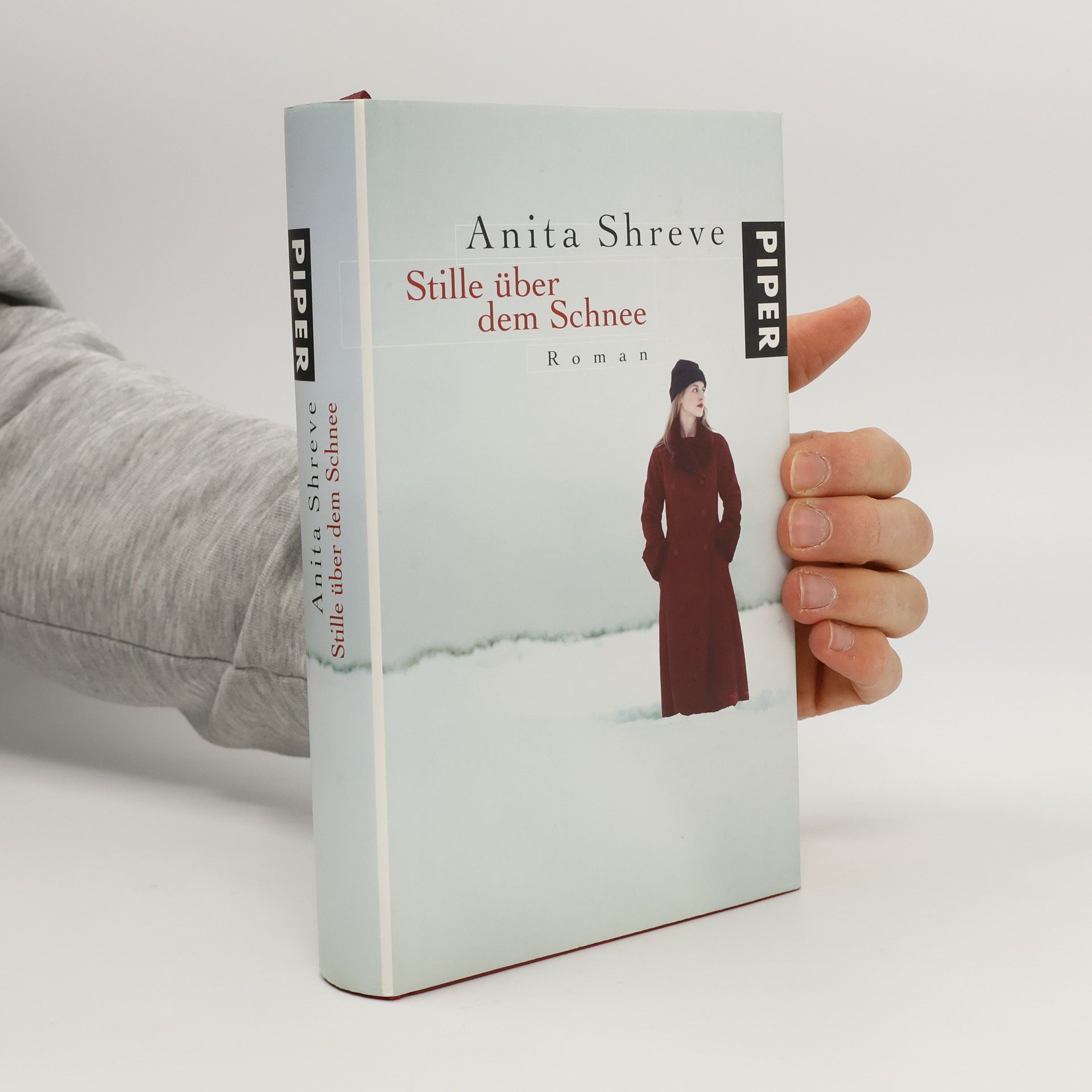 Anita Shreve Stille über dem Schnee