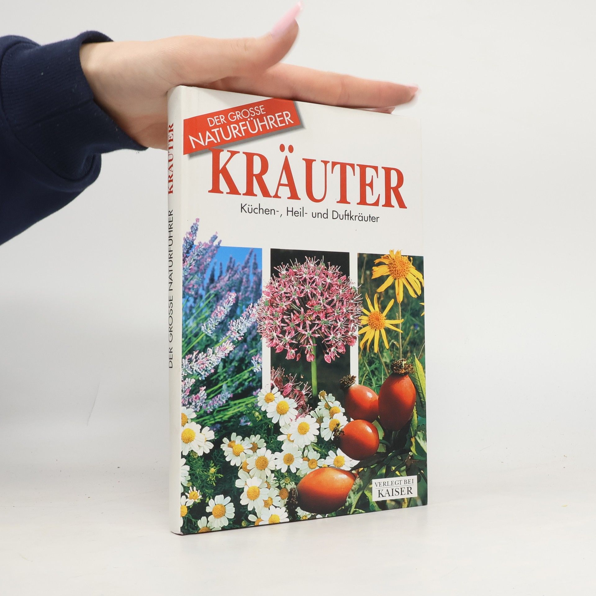 Kräuter. Küchen-, Heil- und Duftkräuter
